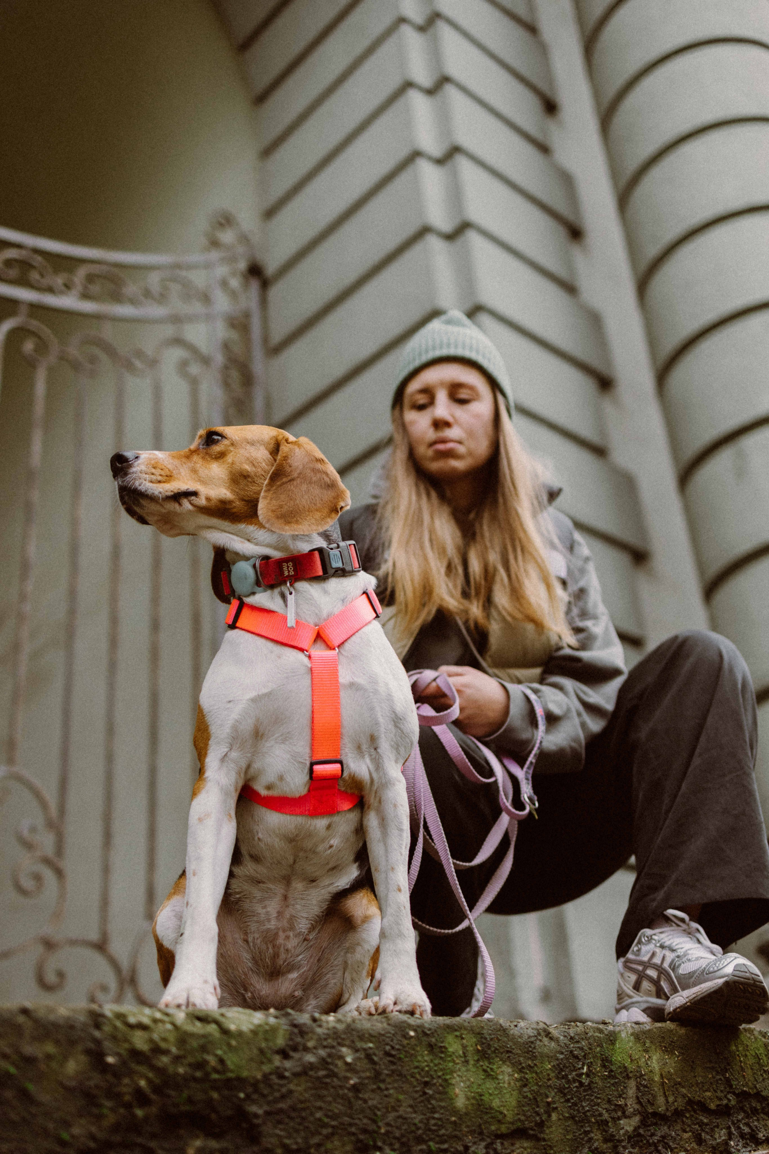 Света и Ива. Фотограф-анималист в Москве Лера Черноног