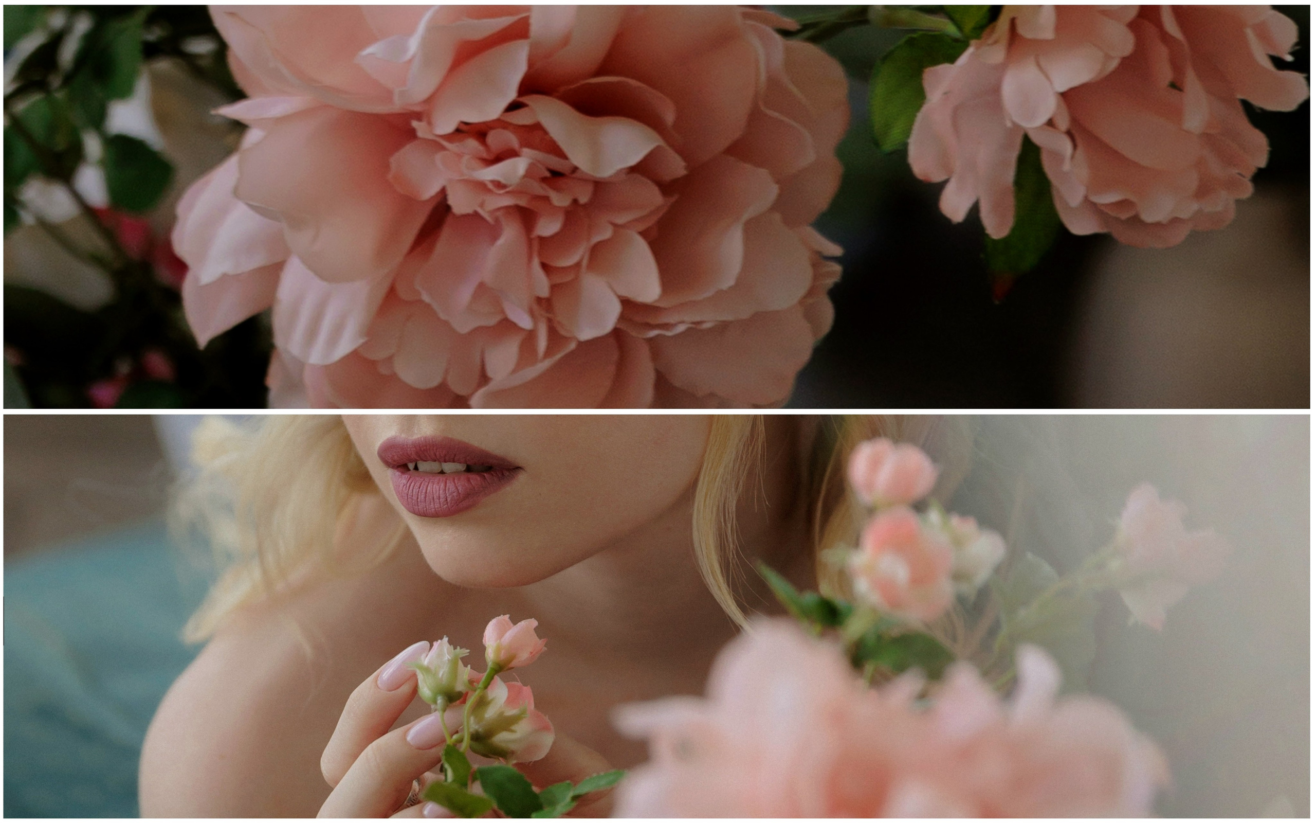 Фотограф Костанай Кукуруза Анжела