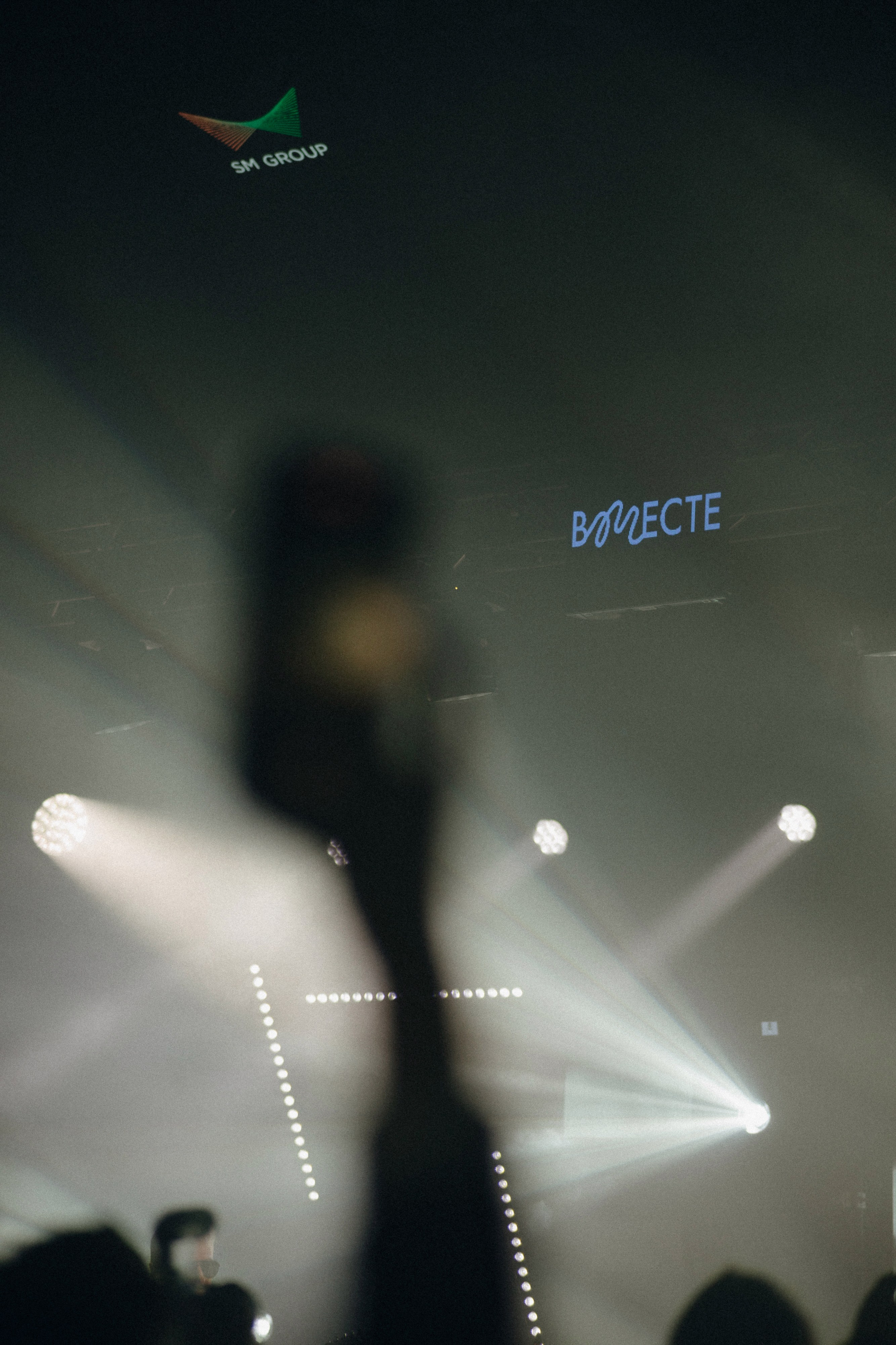 VMESTE fest. Свадебный фотограф Дмитрий Алферов