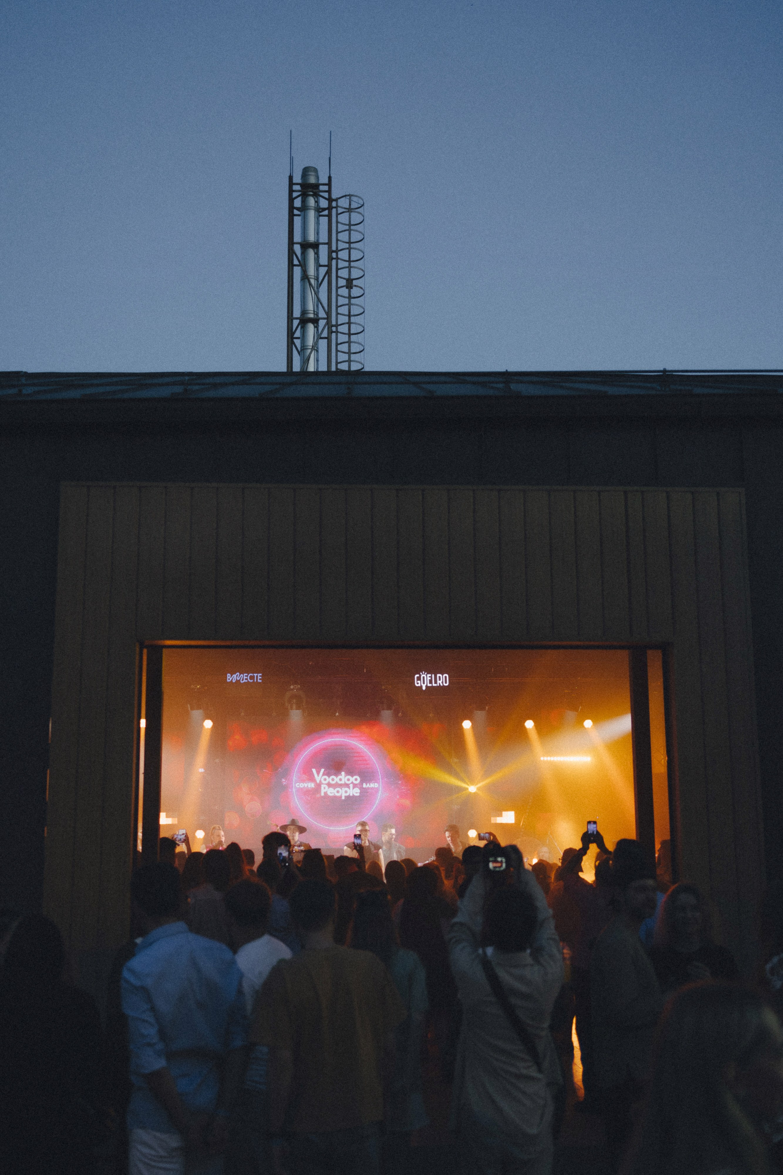 VMESTE fest. Свадебный фотограф Дмитрий Алферов