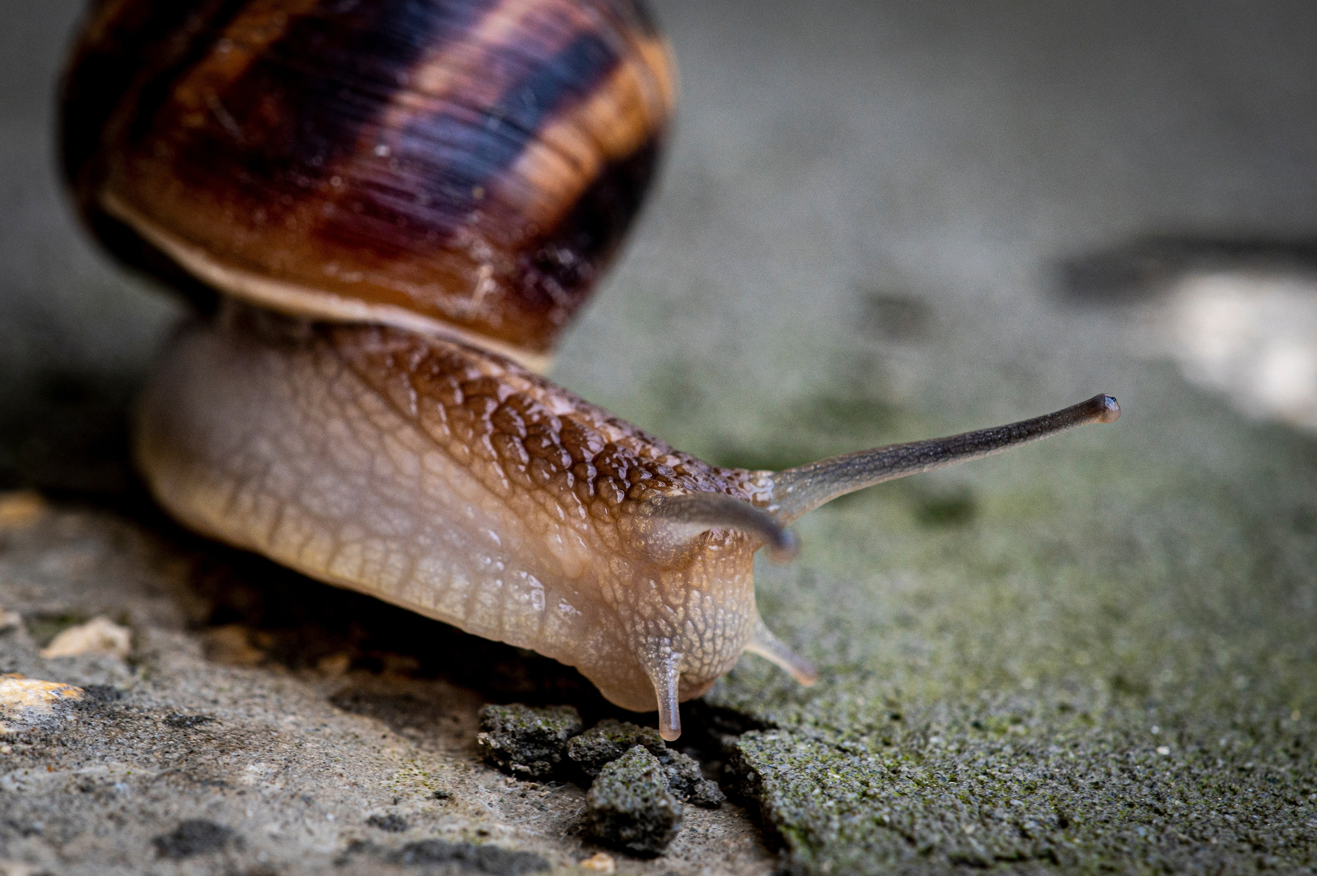 Крым май 2022. Фотограф Роман Адлер