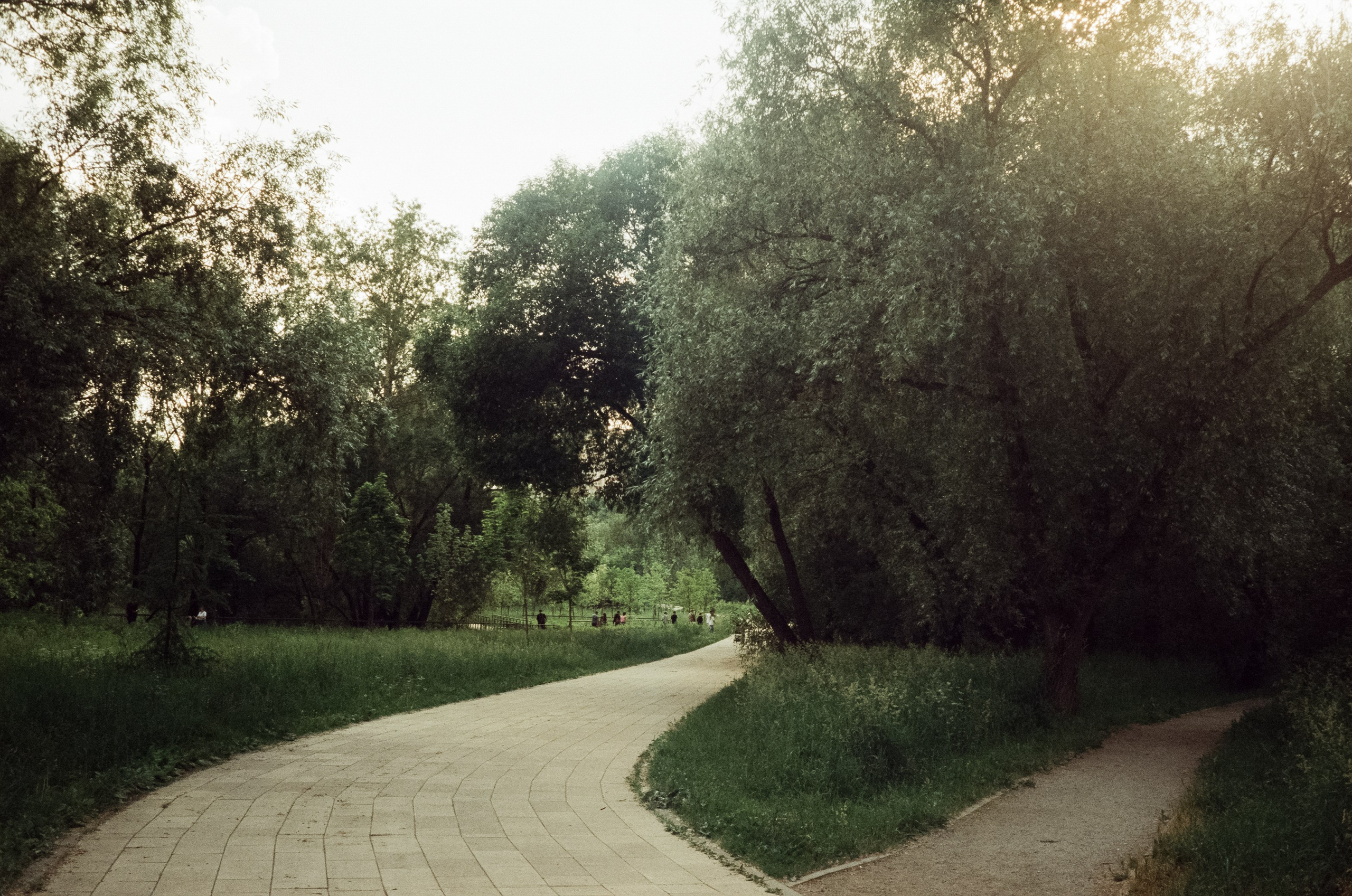 Agfa Optima Sensor 1035 / SFL 250D / тестовая пленка Строгино у речки