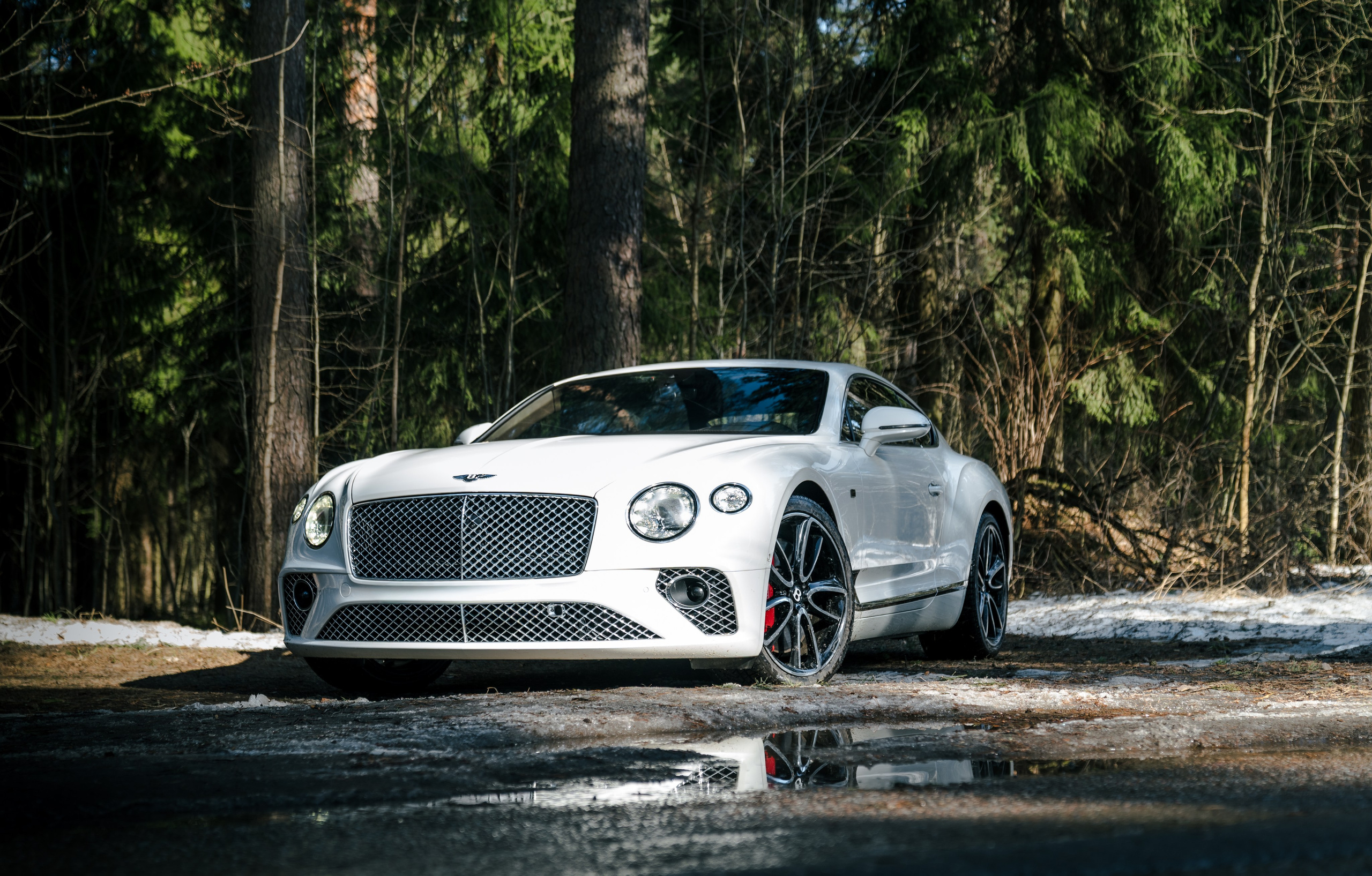 BENTLEY CONTINENTAL. Opasnophoto