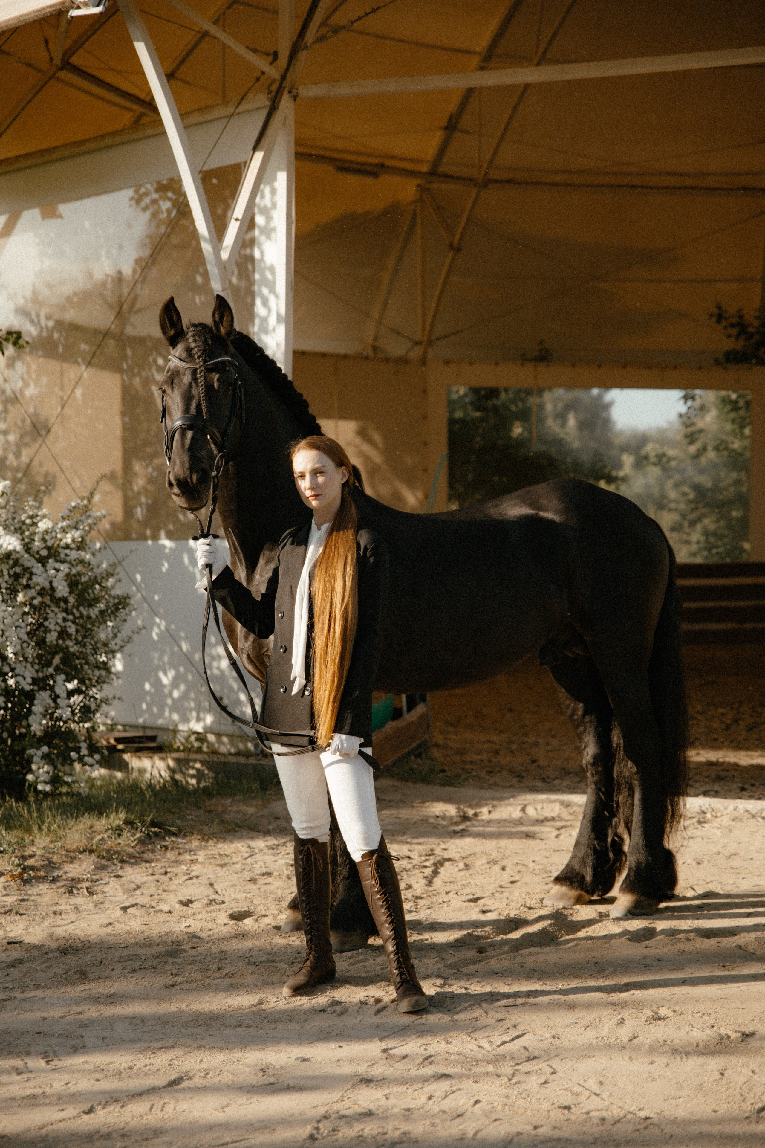 Съемка с лошадью фризской породы. Семейный и конный фотограф в Краснодарском крае и Адыгее
