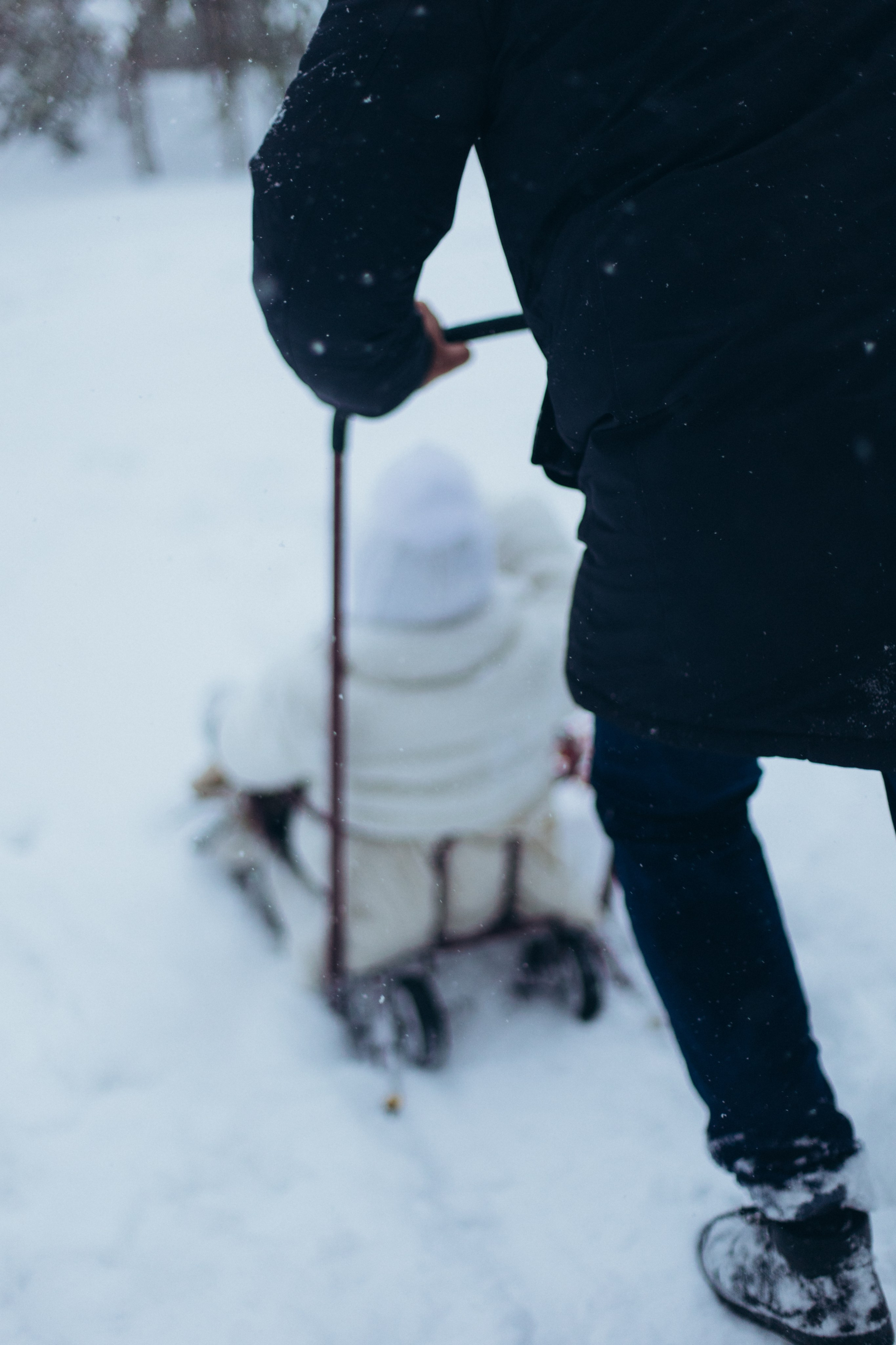 Зимняя история