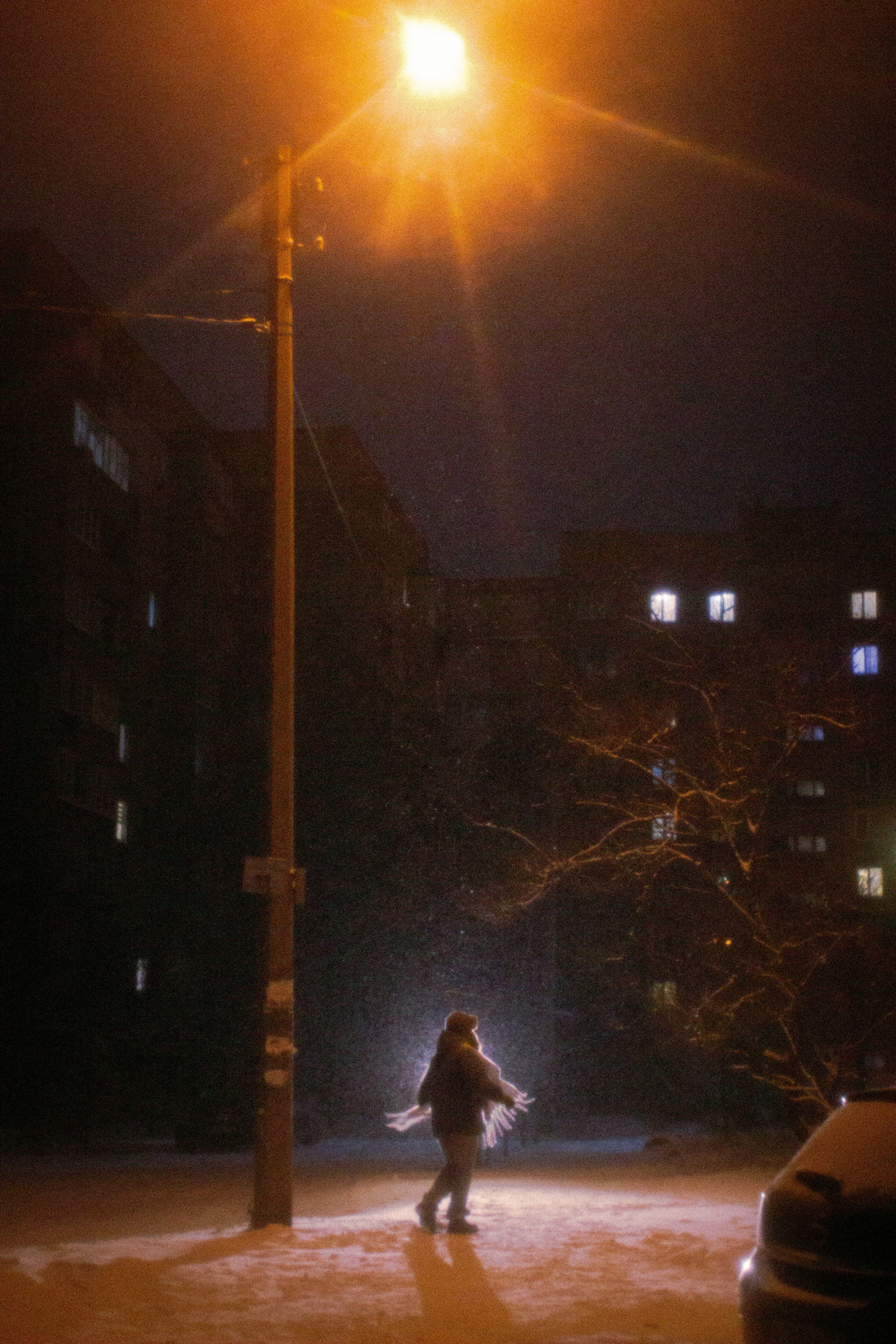 А снег не знал и падал…. • Фотограф Александра Светозар Алчевск •