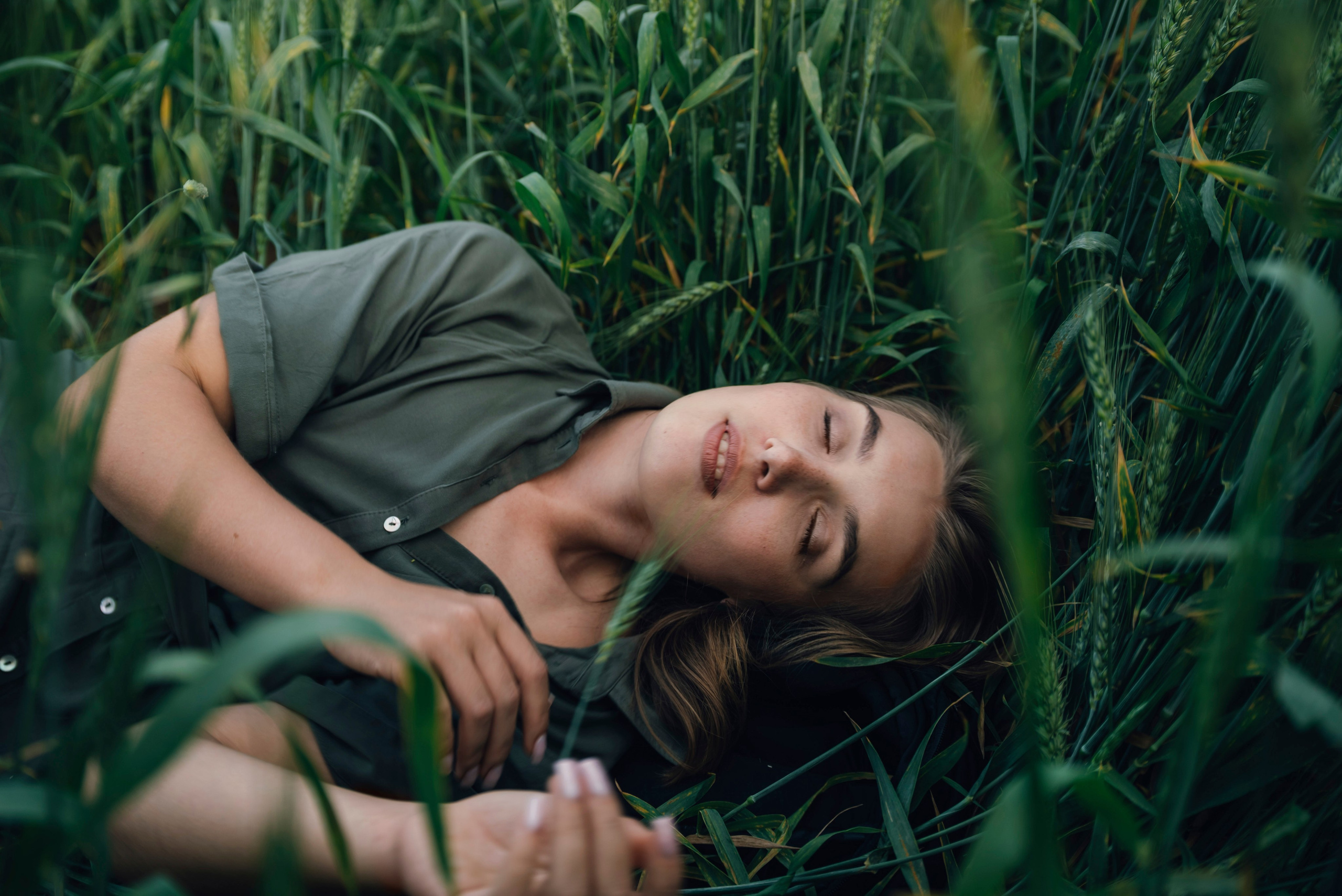 An Evening in the Field. Anna Lobanova | Photographer