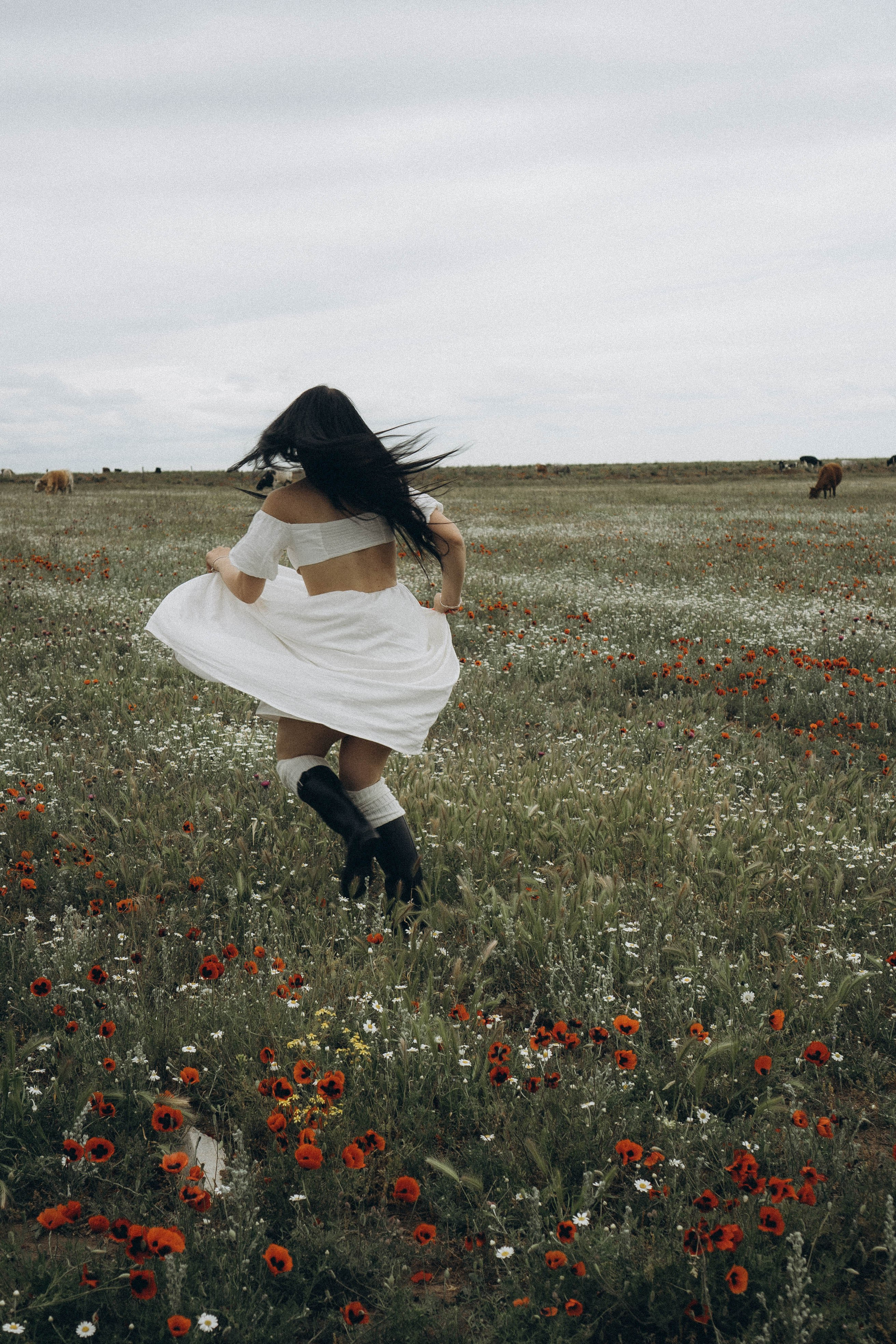 Маковое поле. Профессиональный фотограф, Санкт-Петербург — Виктория Богомолова