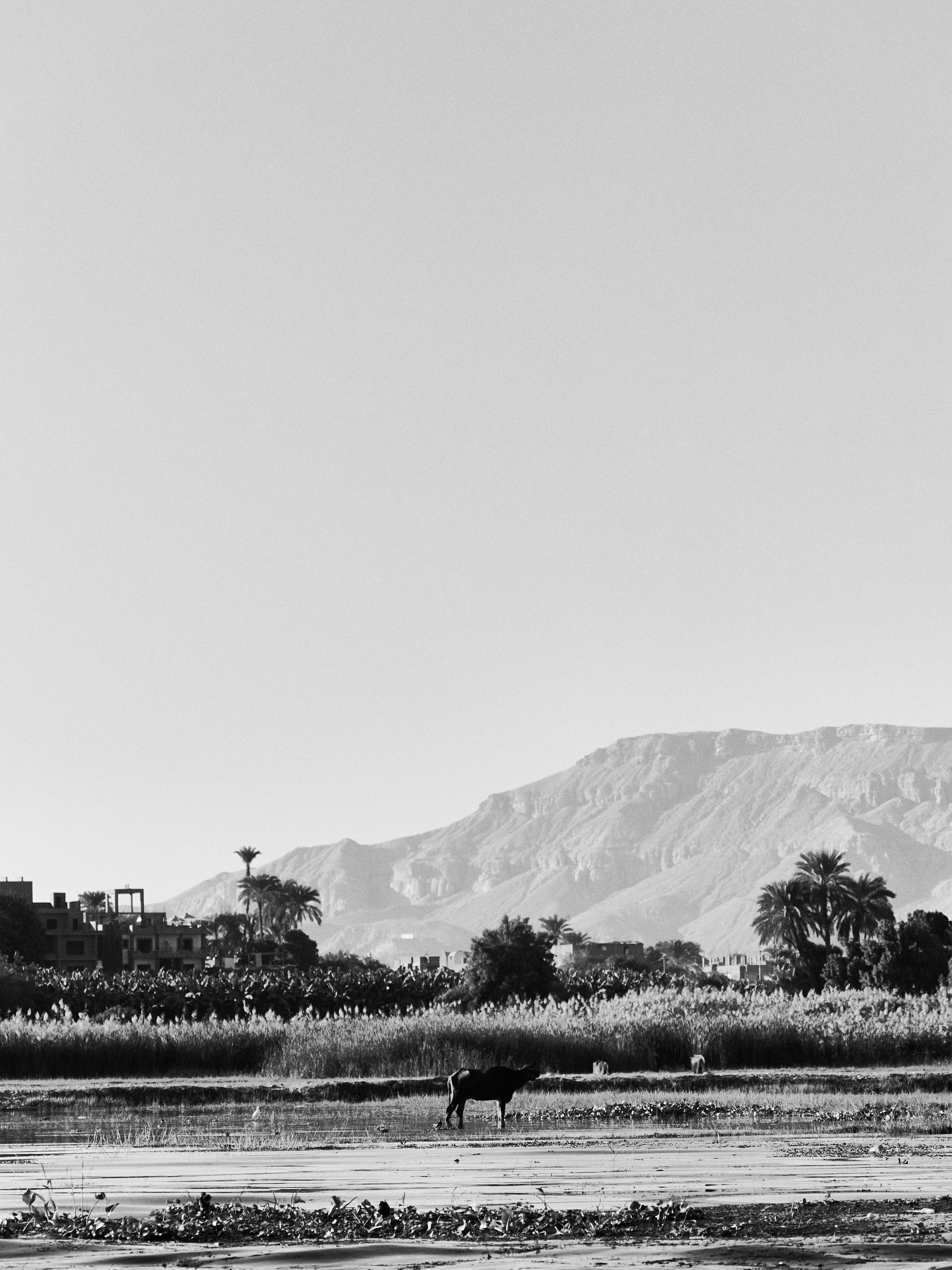 Другое 4. Jorgis — фотограф в Хургаде / обучение фотографии