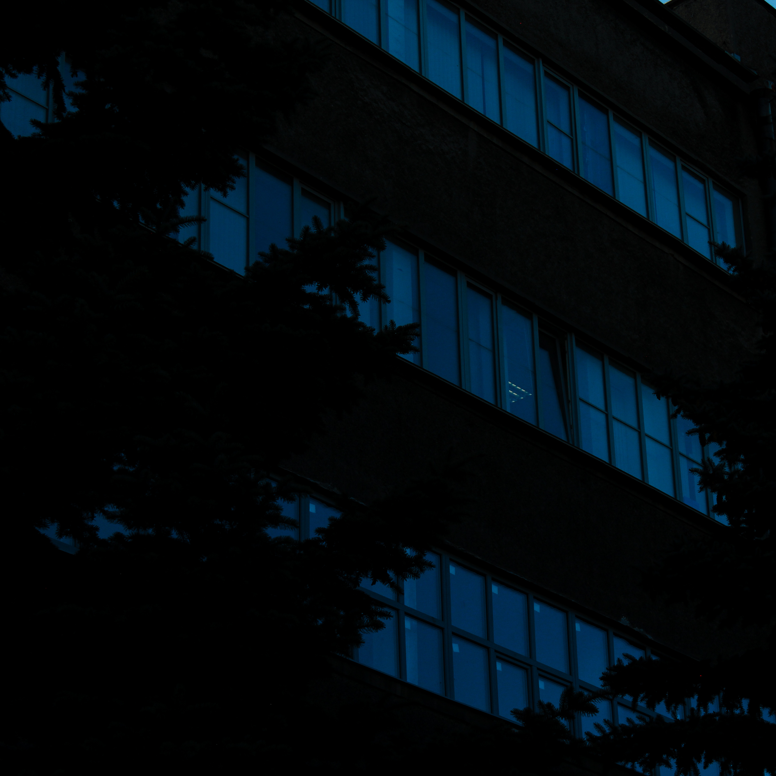 Summertime. Фотограф/дизайнер в Екатеринбурге Хитрый Дмитрий