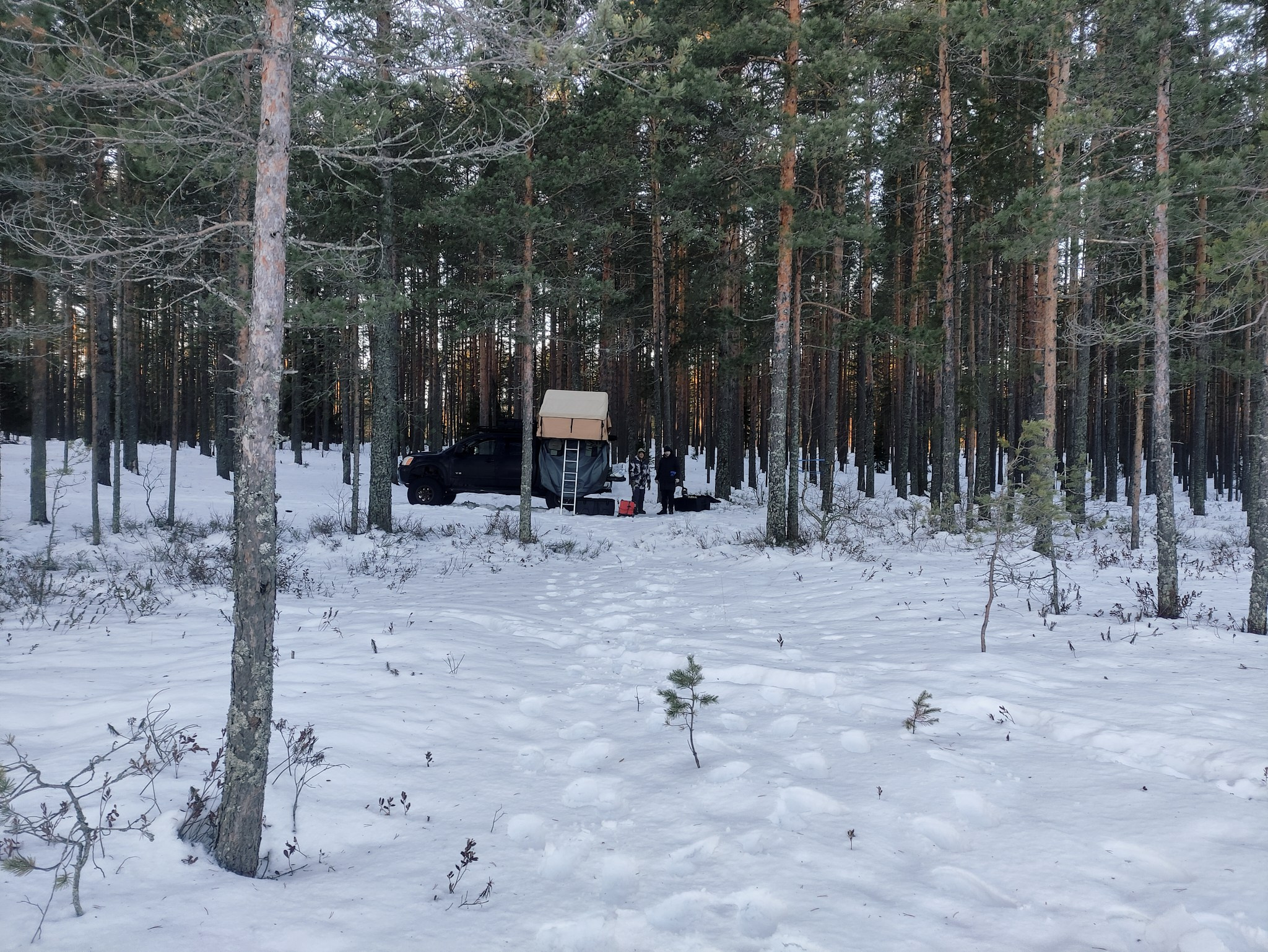 Путешествие в Арктику в 2023 году. Внедорожные путешествия — OFFROADTRIP