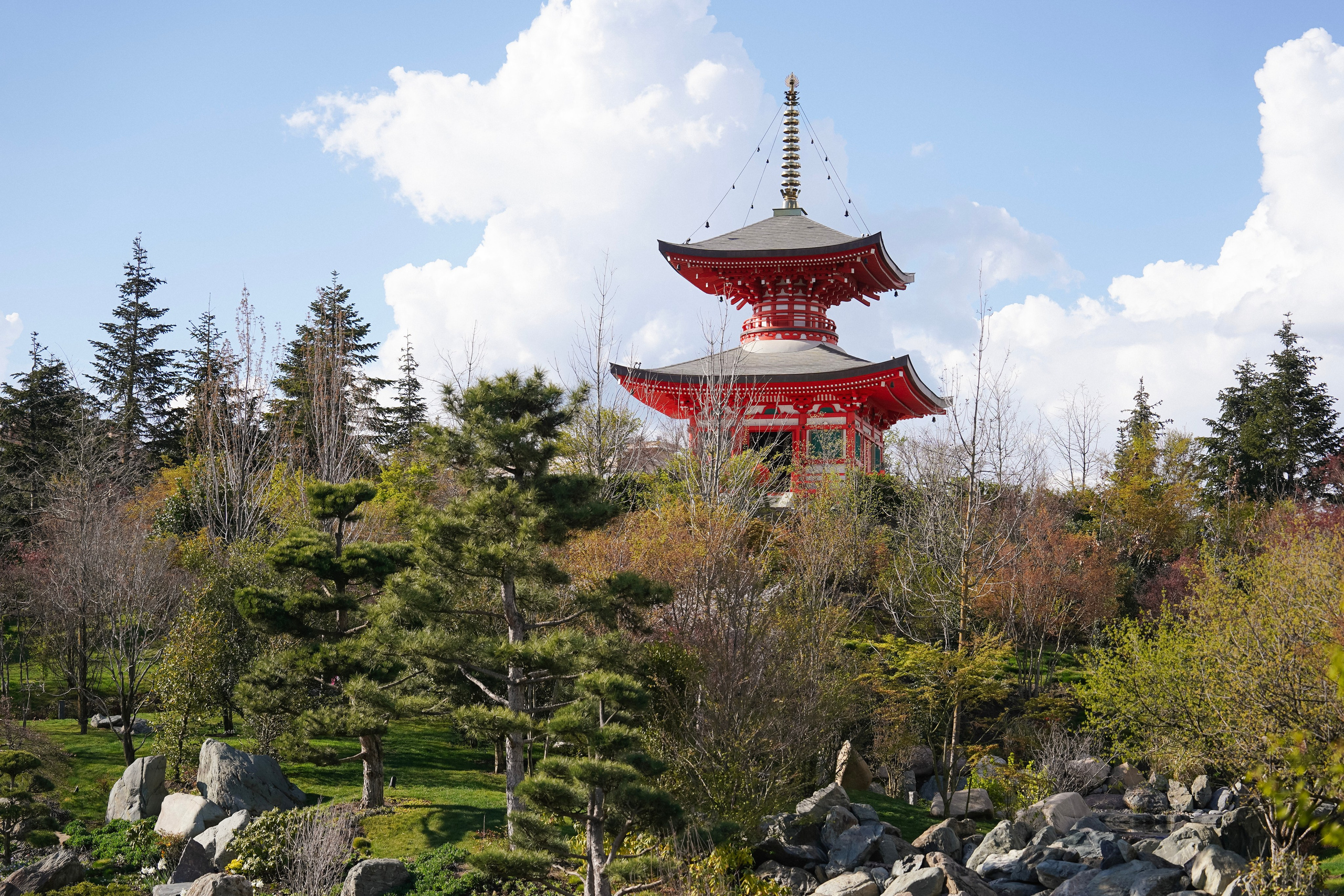 Ева в Саду. Фотограф с психологическим образованием