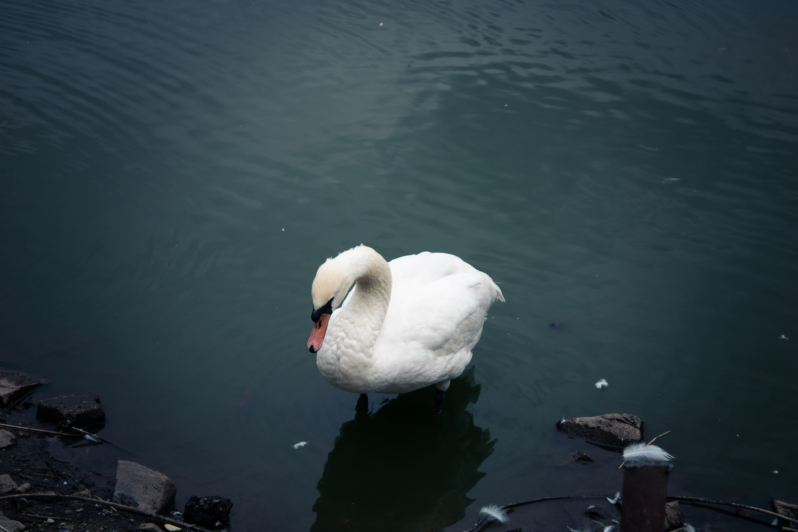 Вдохновение. Бутакова Елена фотограф в Екатеринбурге