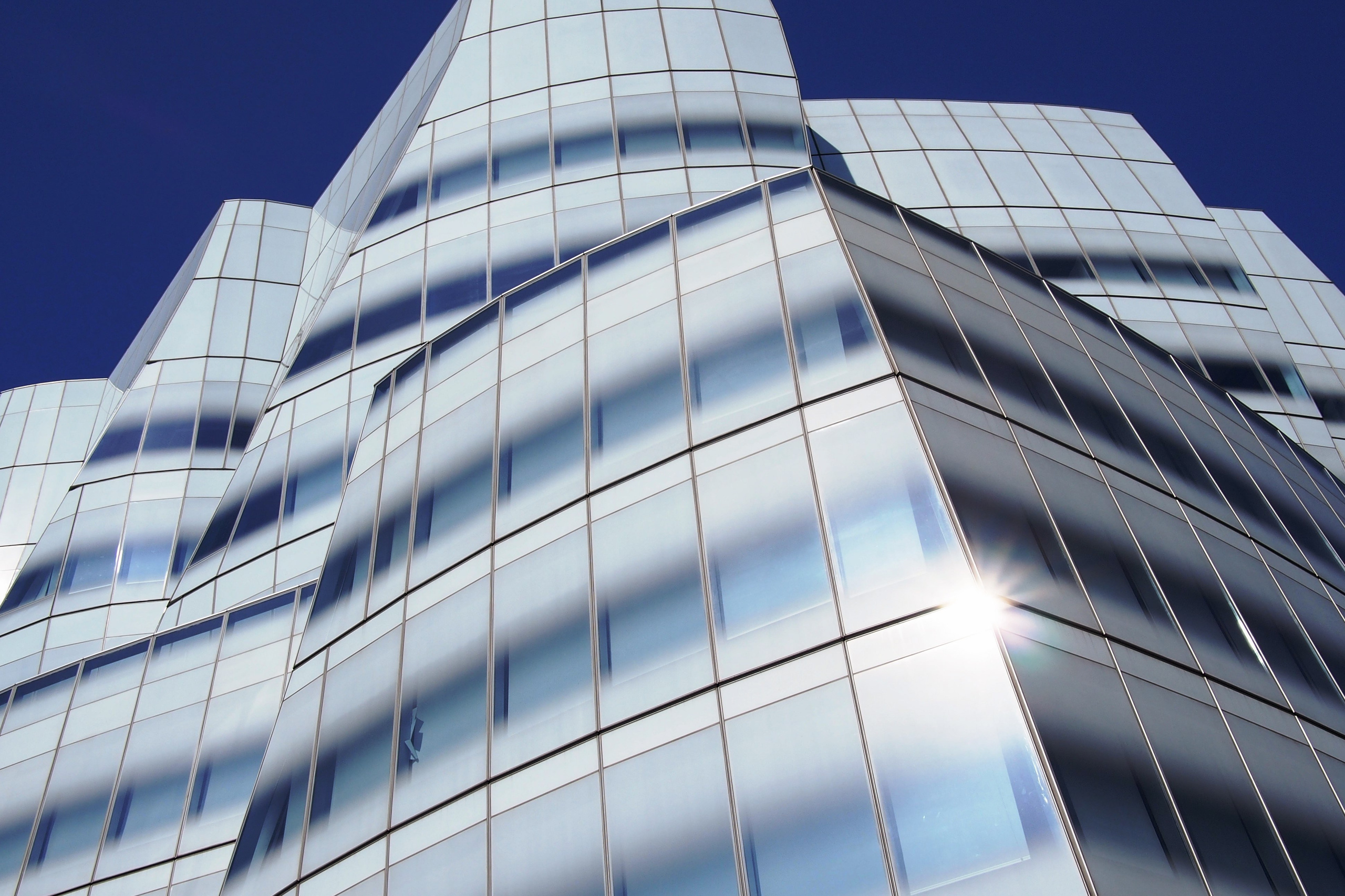 Однажды в Америке. Фотограф Дмитрий Алексеев