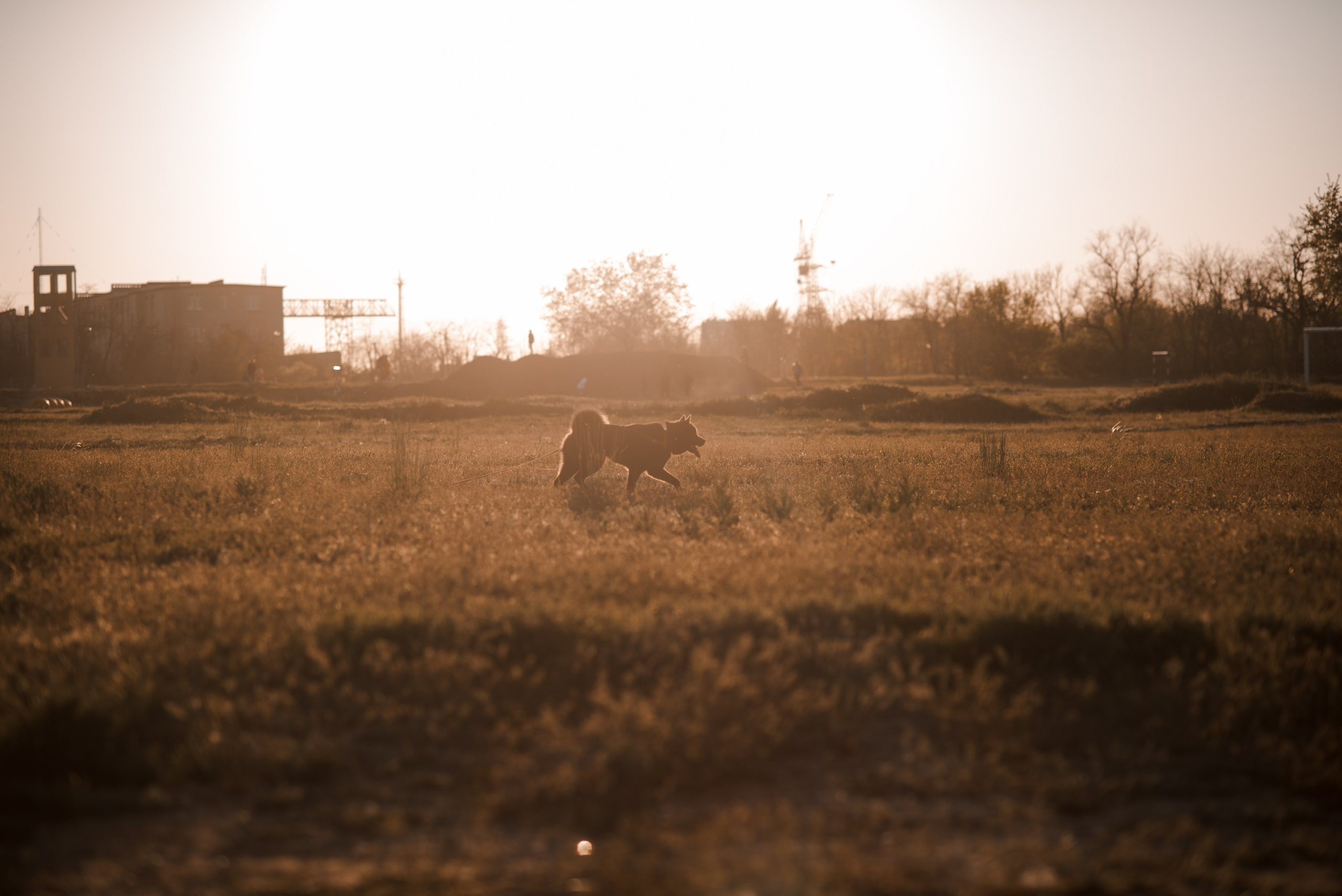 Ярослав. Главная