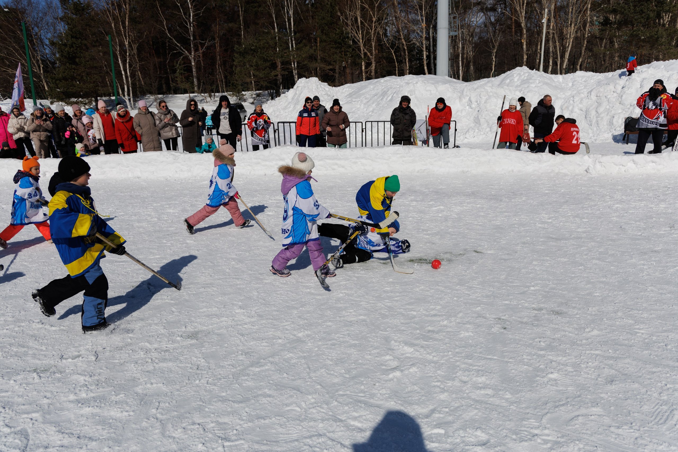 XIII чемпионат  по «ХОККЕЮ В ВАЛЕНКАХ». Свадебный, семейный и репортажный фотограф в Южно-Сахалинске Артур Петросян