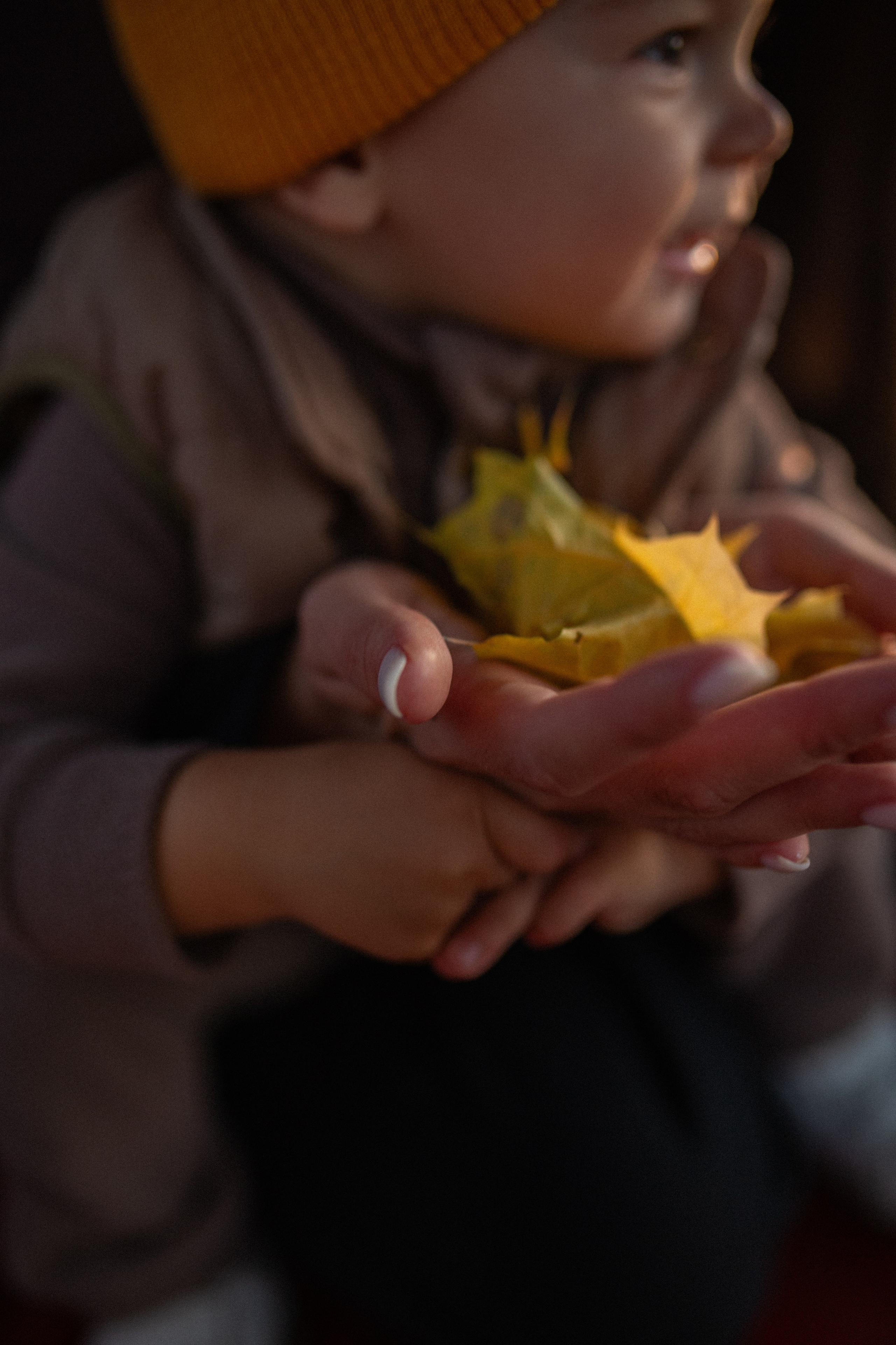 Семейная. Семейный фотограф Новосибирск