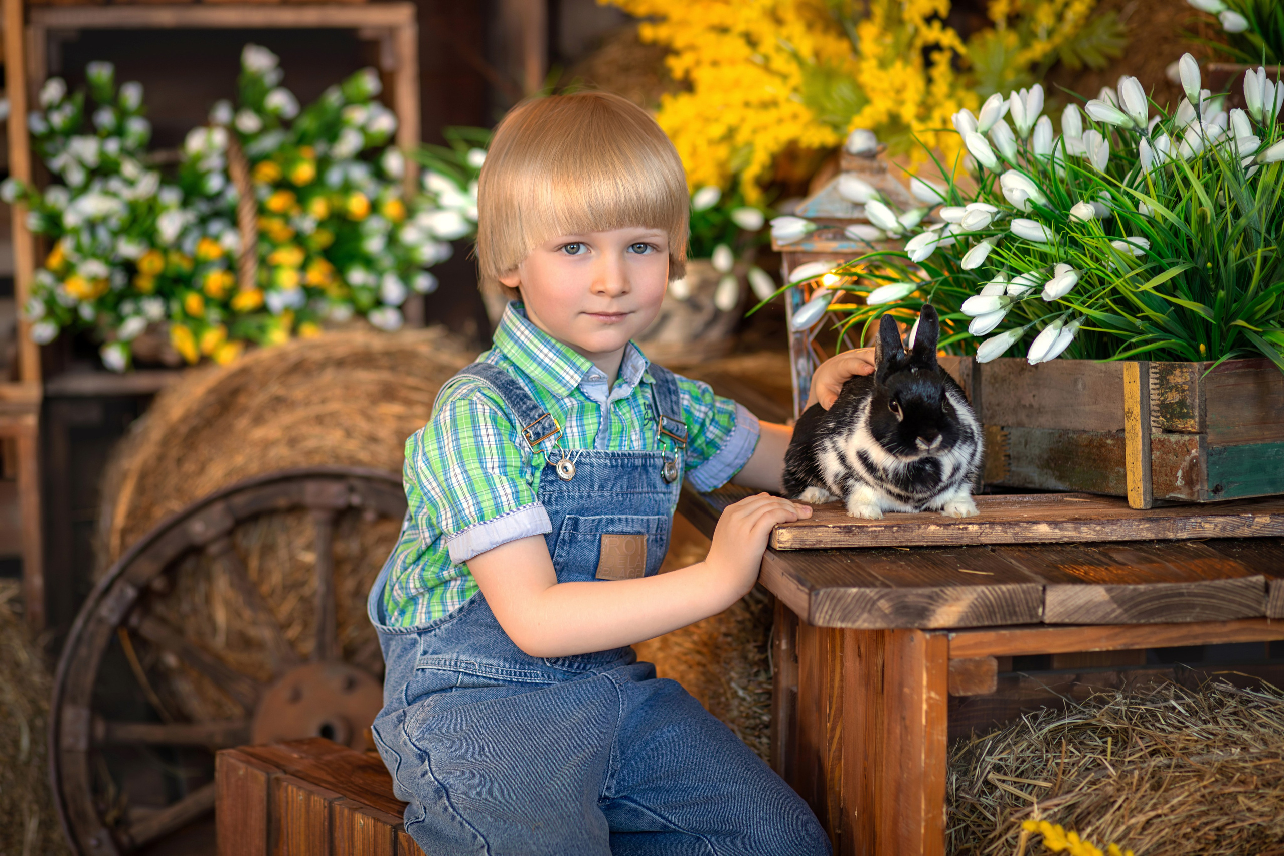 Фотосессии в студии. Фотограф в Москве