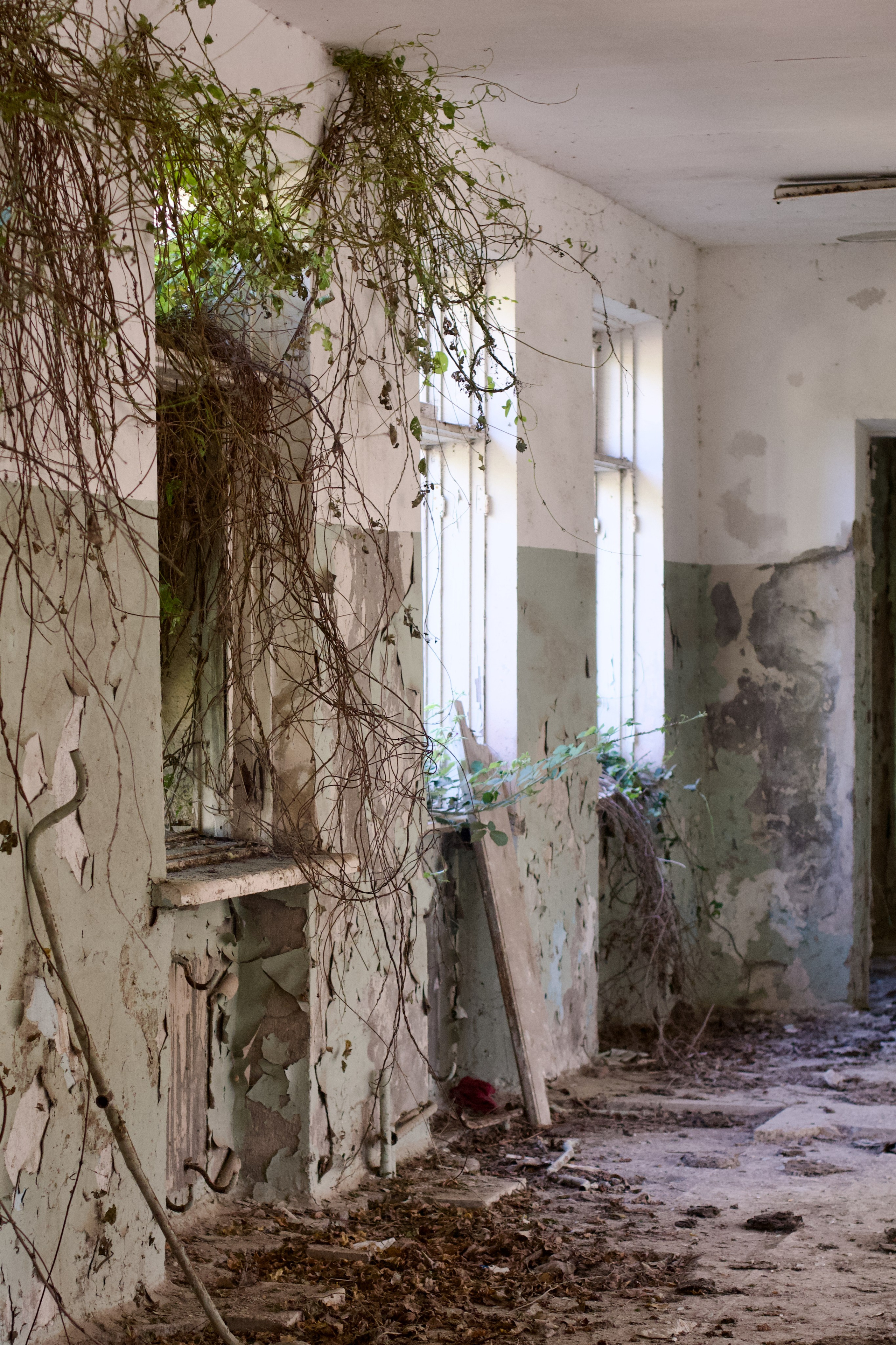 Абхазия. Школьные выпускные альбомы в Москве Марина Николаева