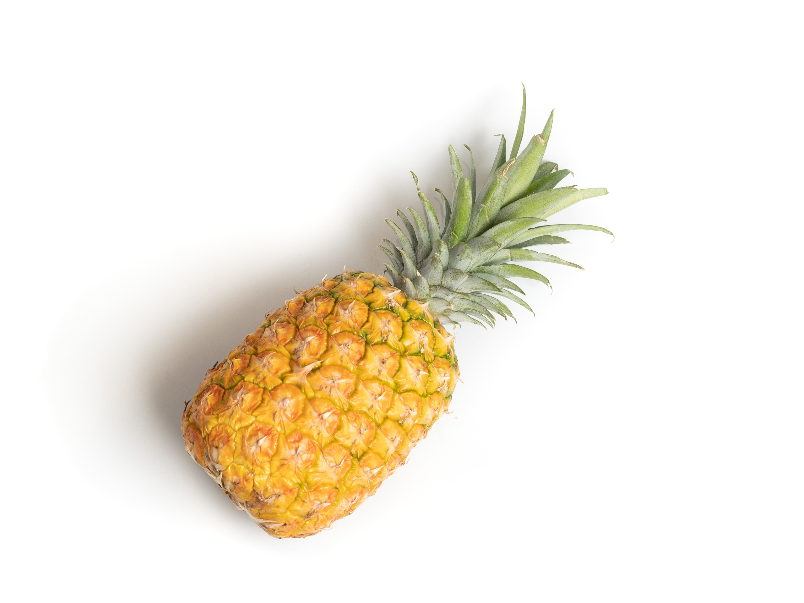 Яндекс Маркет. Предметный и фуд-фотограф в Москве Анна Царенко