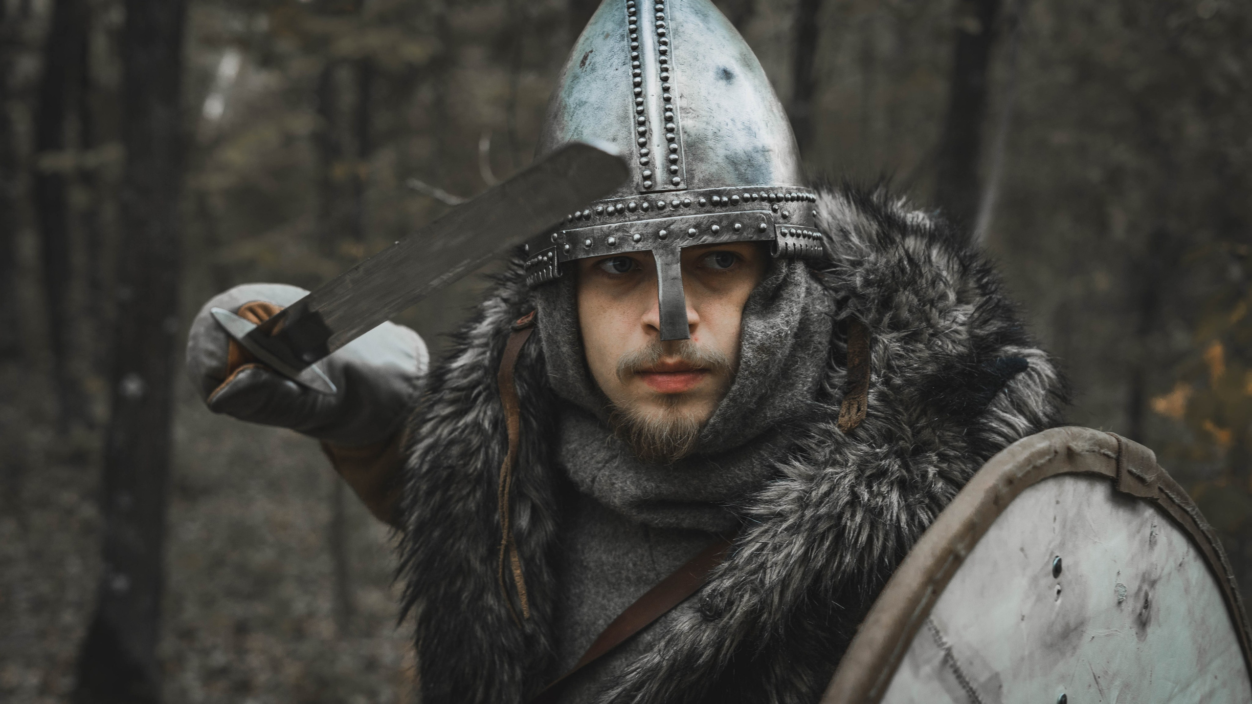 Викинг. Ab extra