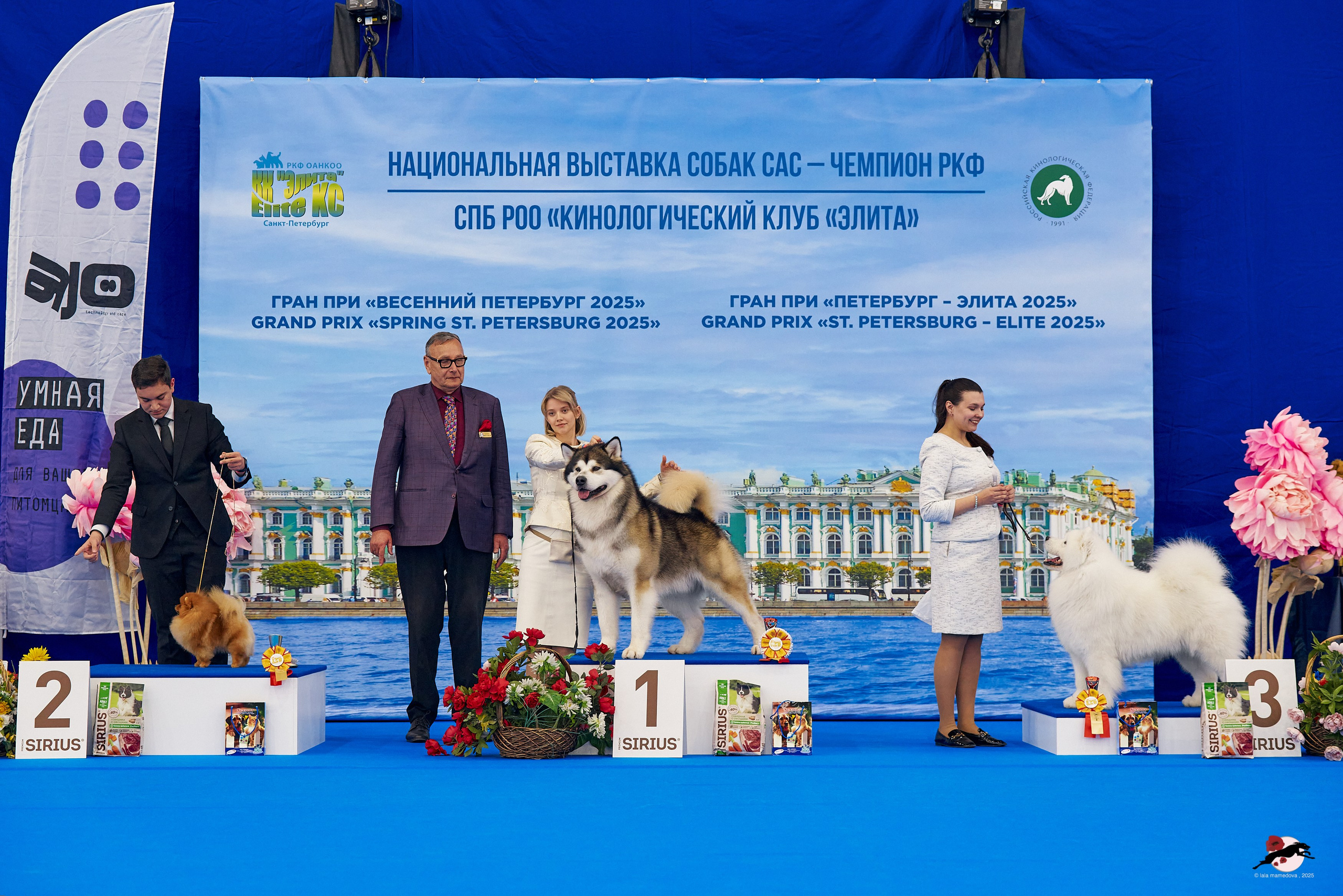 27.04.2025 | "Петербург-Элита 2025" & «КУБОК «ЭЛИТЫ»-2025»