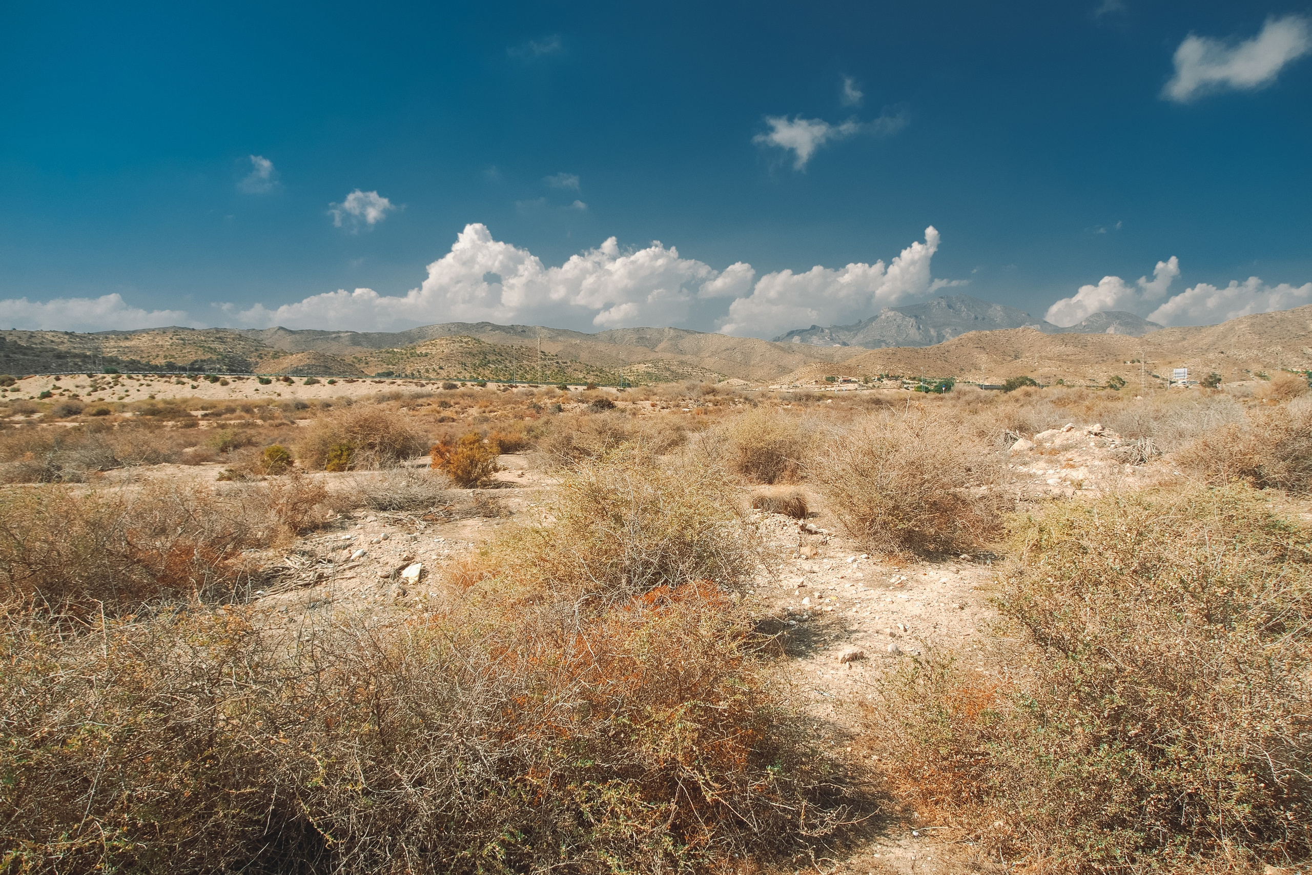 Испания. Свадебный фотограф Копков Геннадий