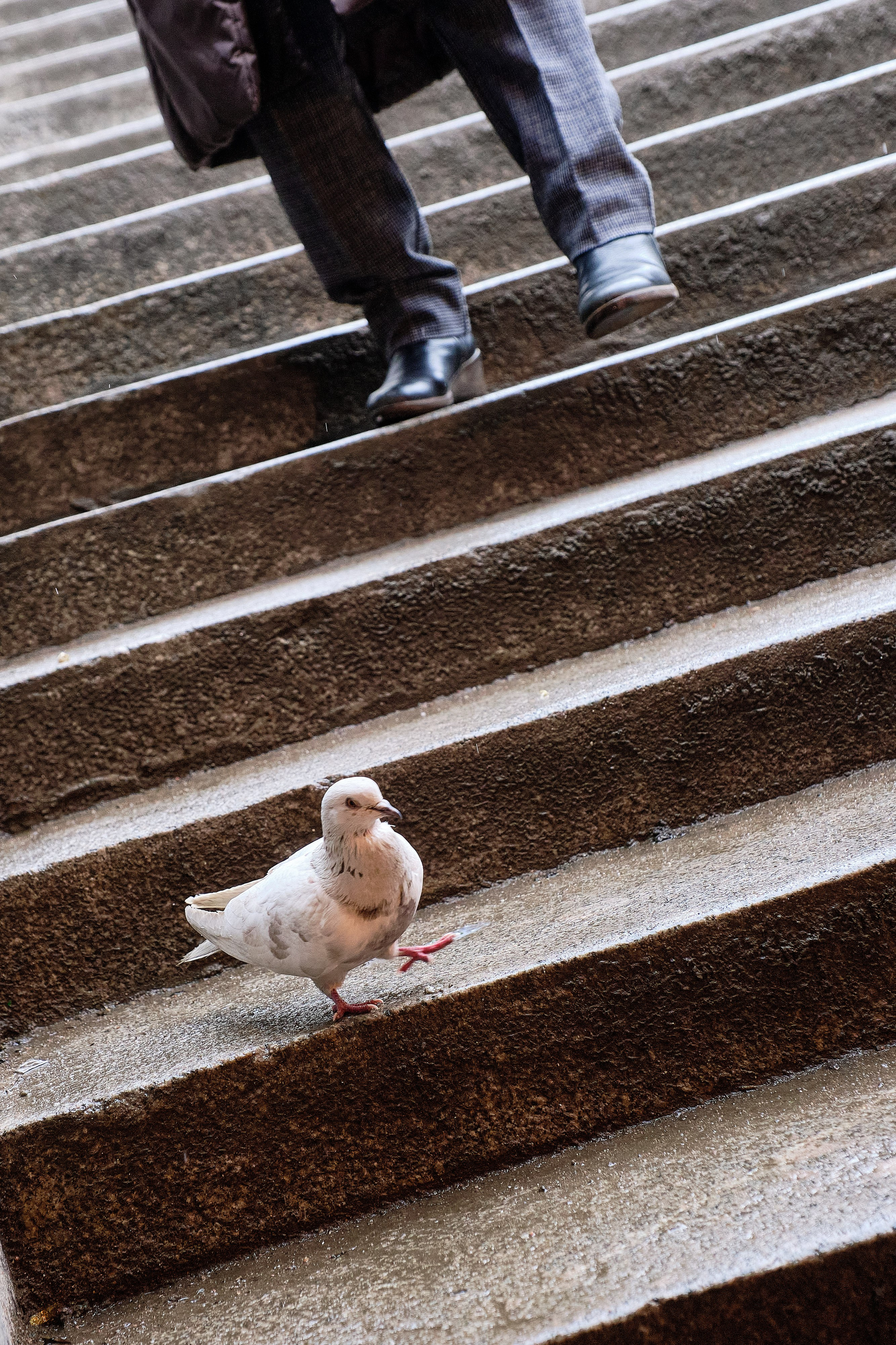 Стрит. Сергей Грачев профессиональный фотограф в Санкт-Петербурге