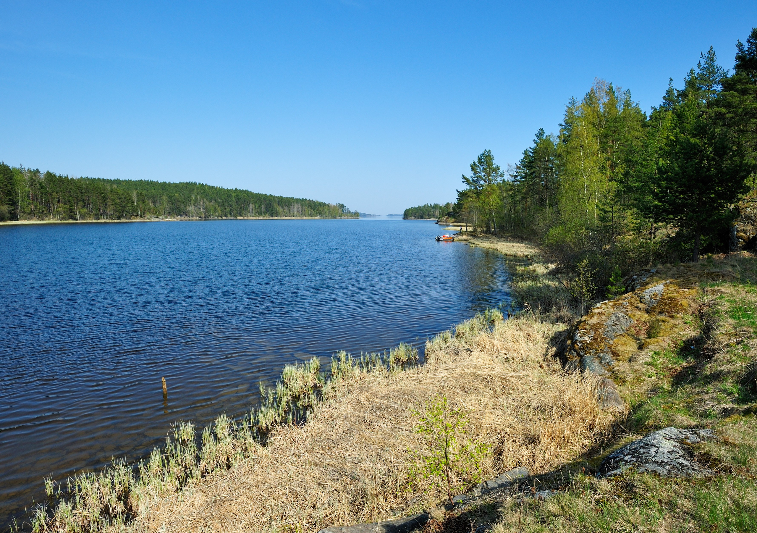 Весна. Пейзажный и предметный фотограф в Санкт-Петербурге Александр Богданов