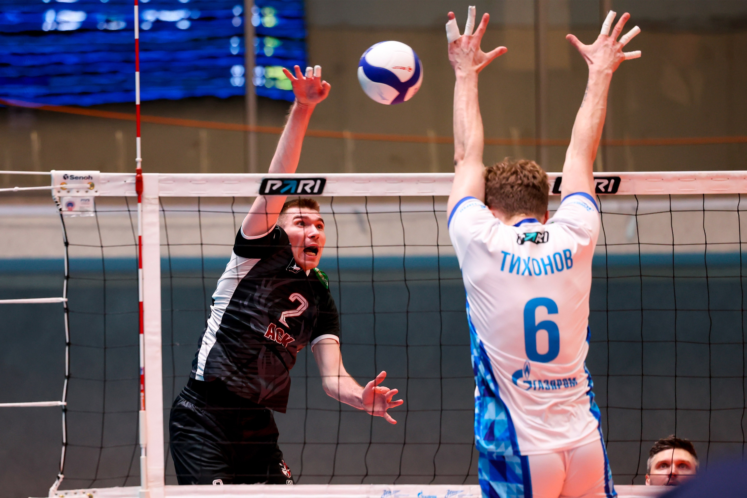 ВК Зенит — ВК АСК 15.03.2025. Спортивный и репортажный фотограф Антон Тереханов