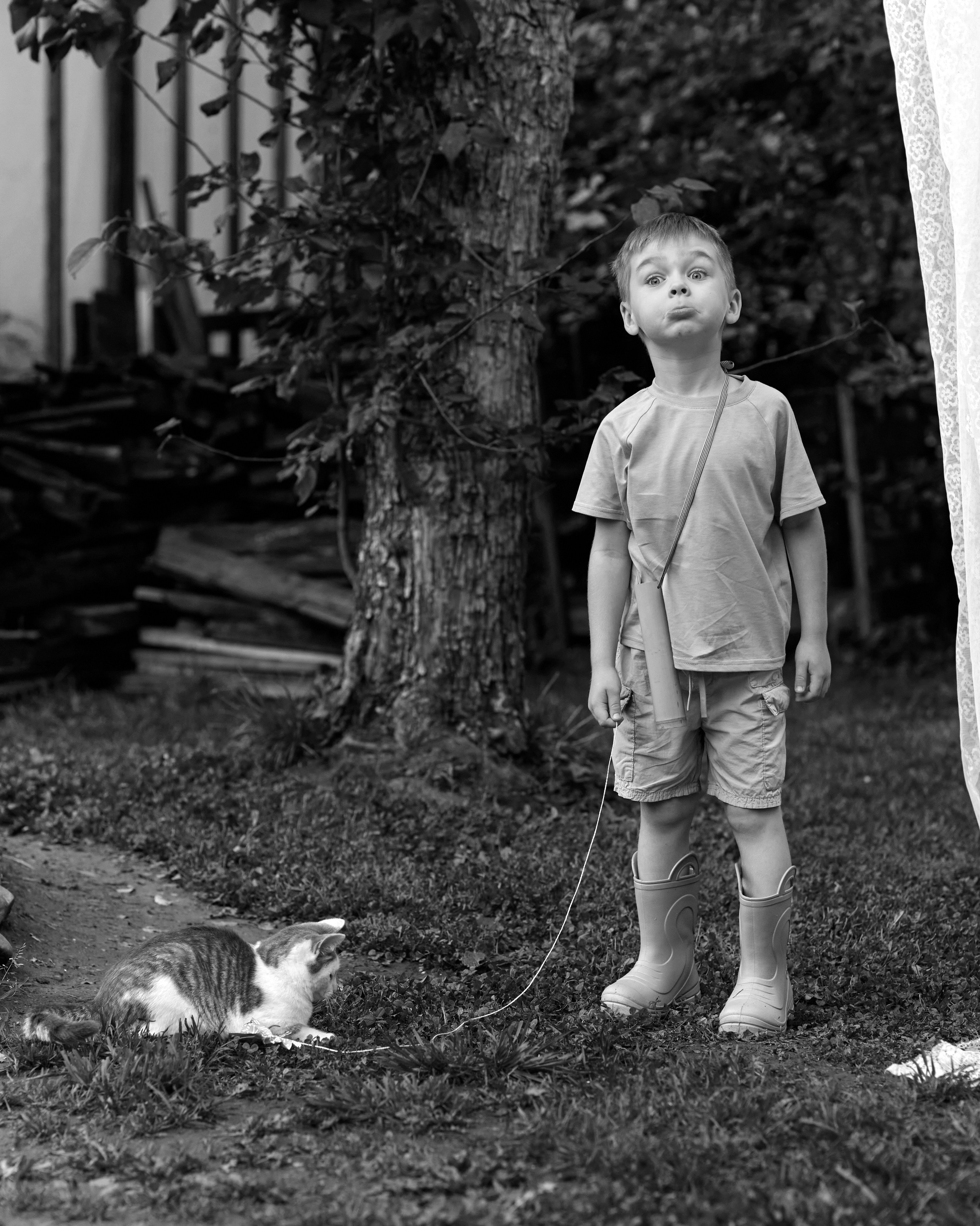 Лето 2025 Фотодача