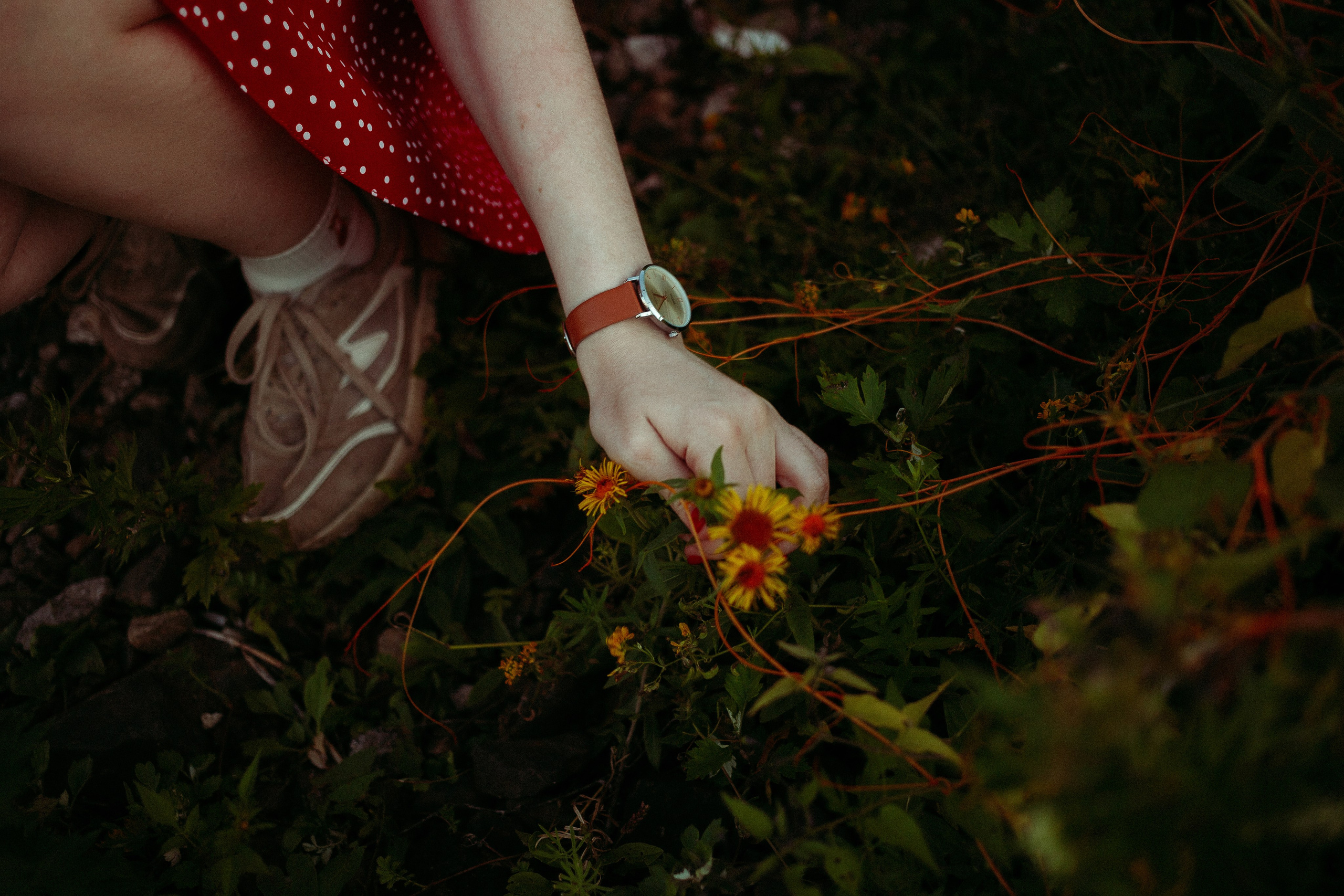 Катя. Леонид Рябов — фотограф в Нижнем Новгороде