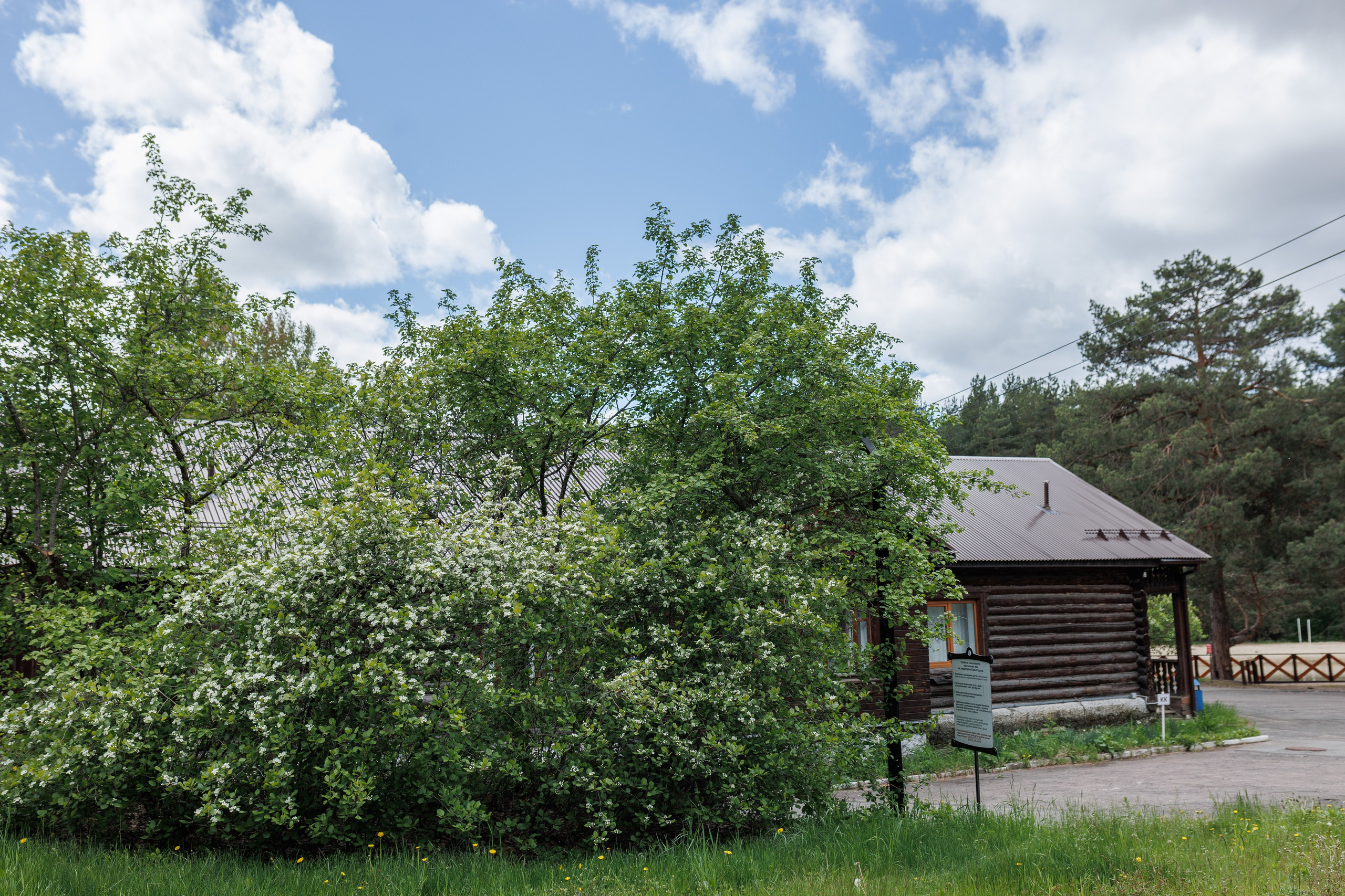 База отдыха «Металлург». Фотограф городских и семейных событий в Нижнем Новгороде Артем Карпухин
