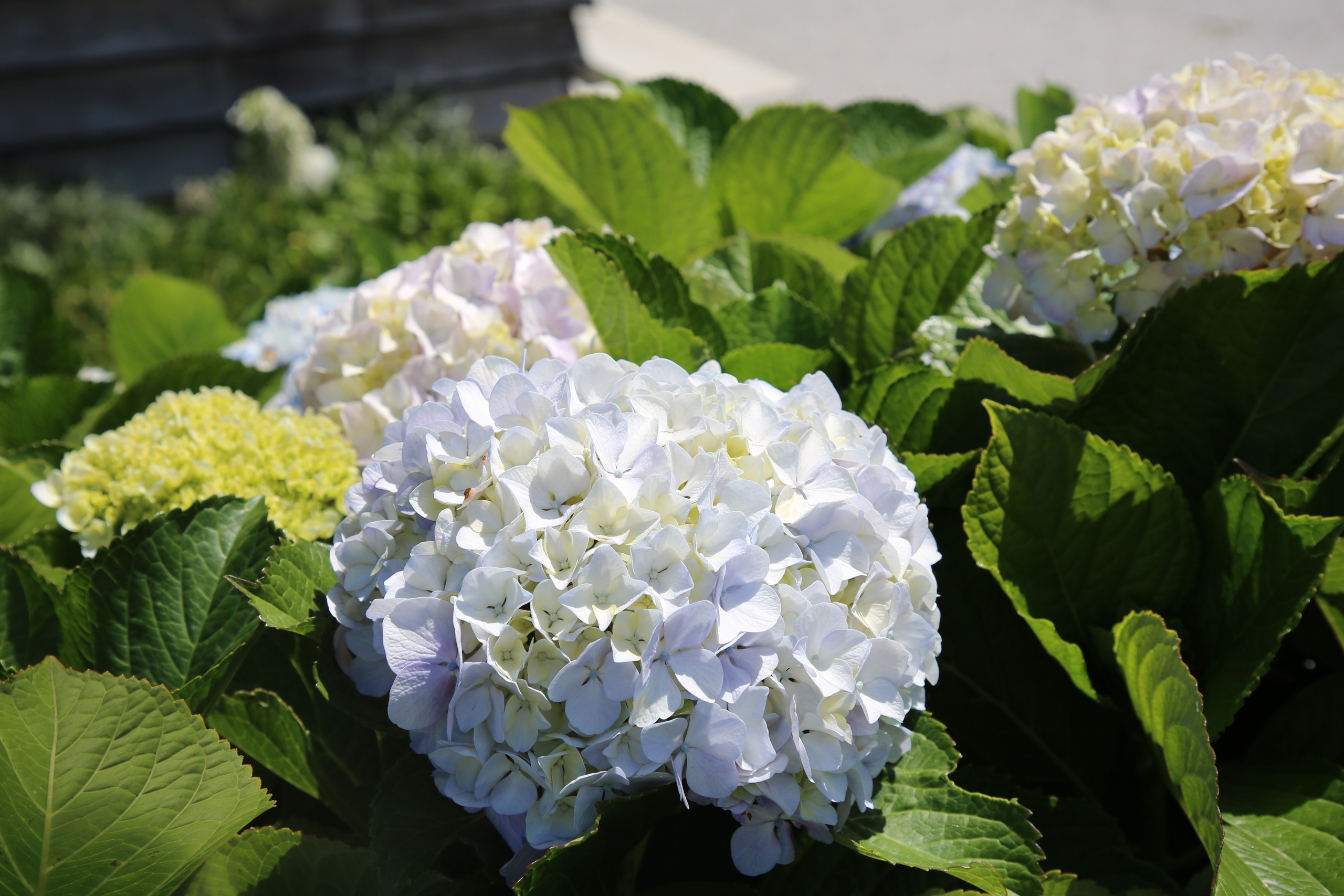 Espihnio, Portugal. Andrey Filippov Photographer