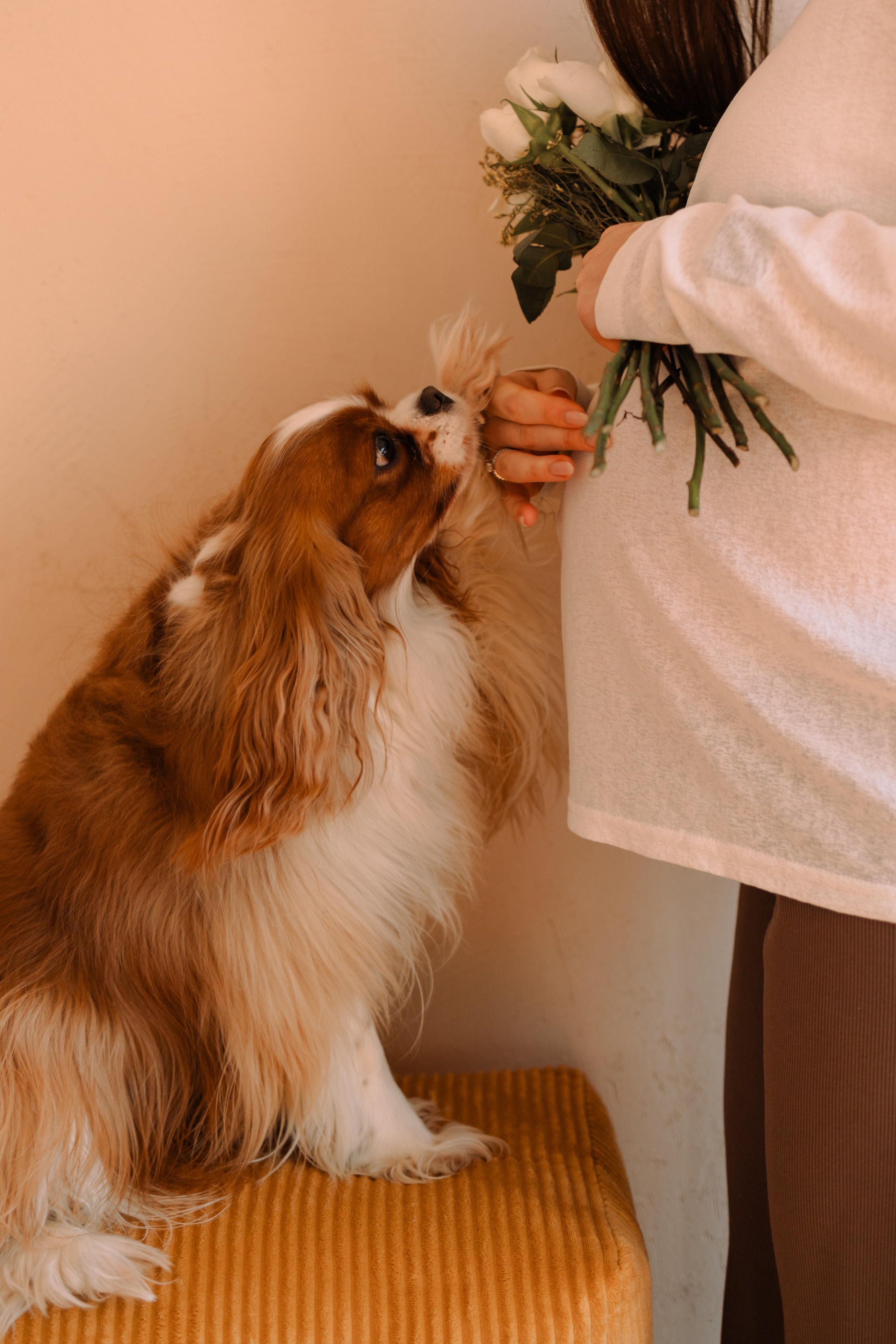 Шерри и ее семья. Фотограф — Анималист | Санкт-Петербург