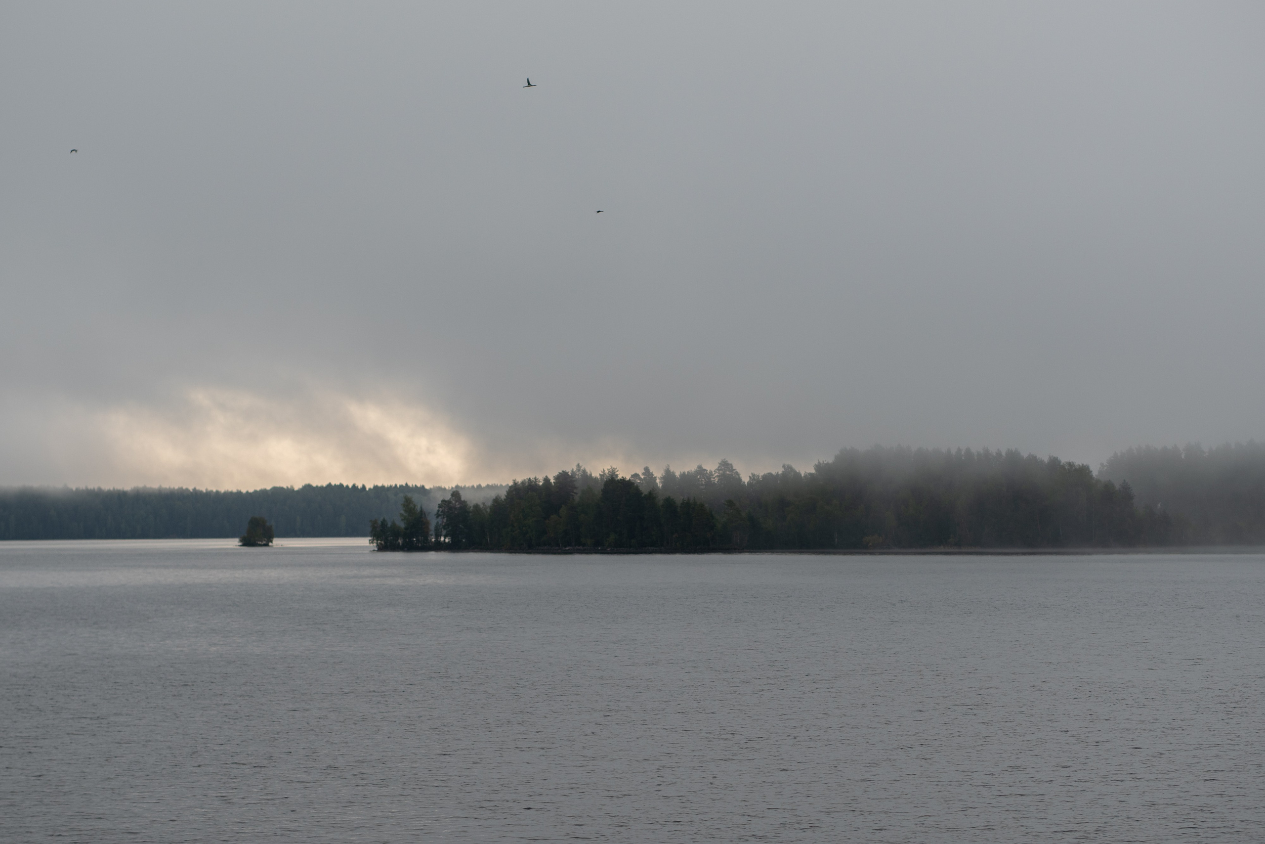 Осень на 85DFA*. Портретный фотограф Денис Милютин