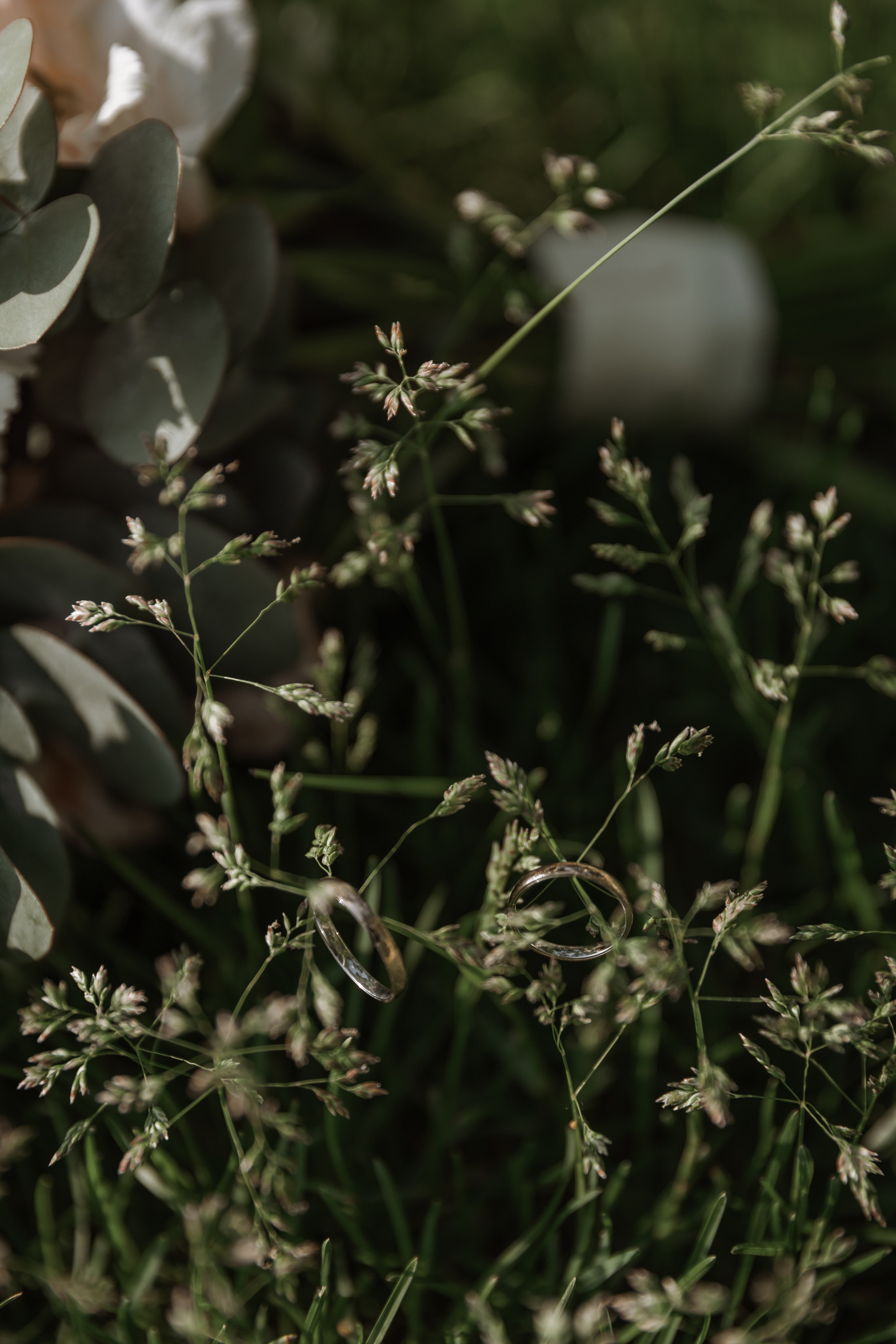 Свадебный  фотограф Санкт - Петербург