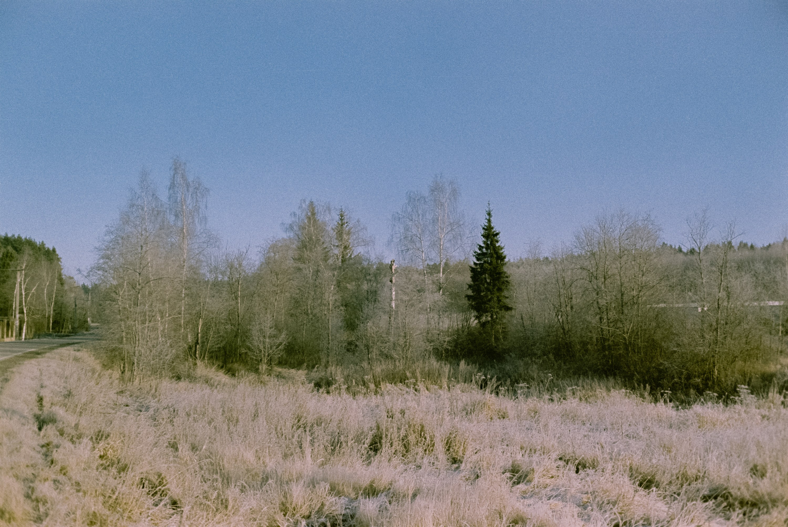 Minolta Hi-Matic 7sII / Kodak Color 200 (просрочка) / Лукино