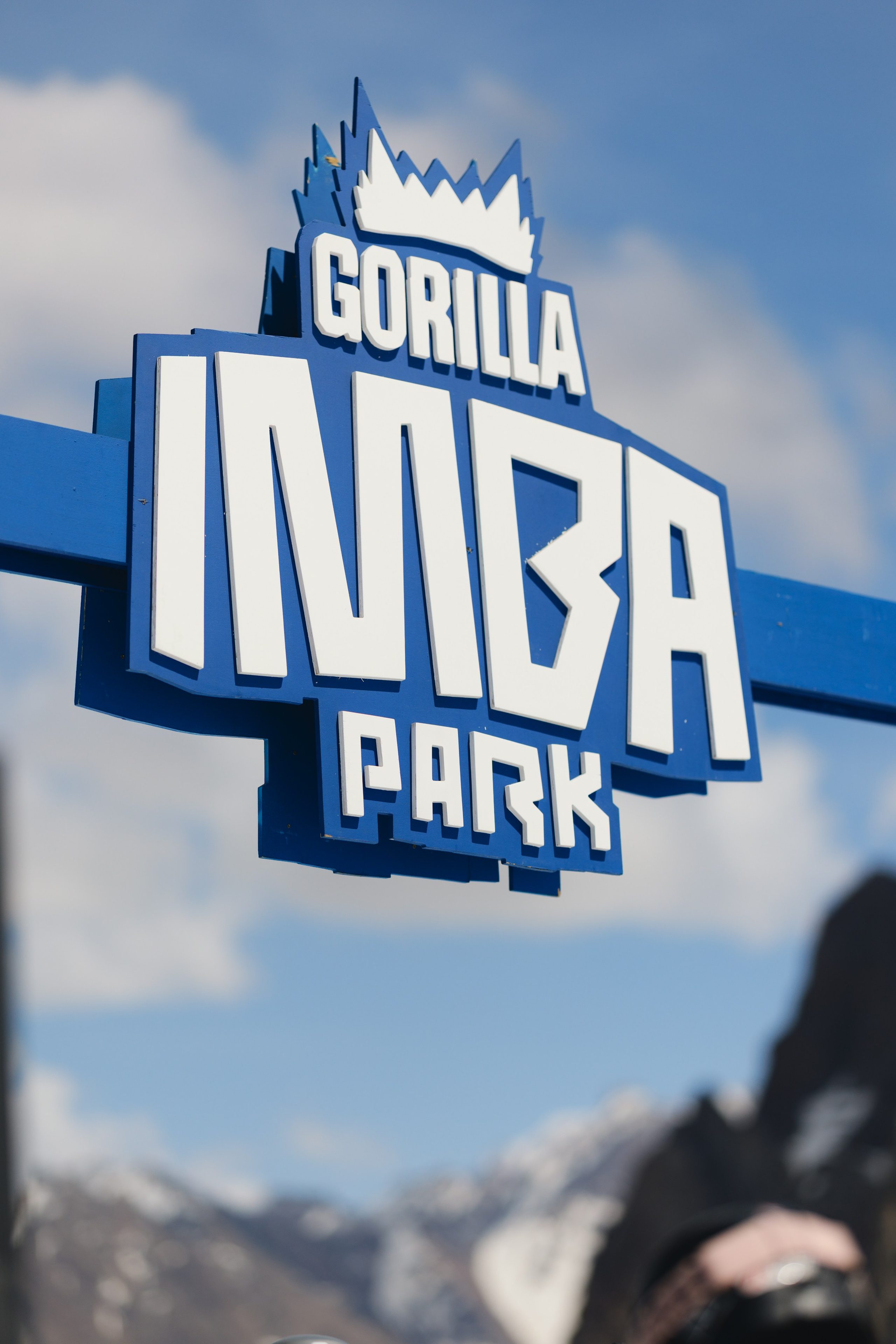 GORILLA IMBA CAMP 5. Gorillaenergymedia
