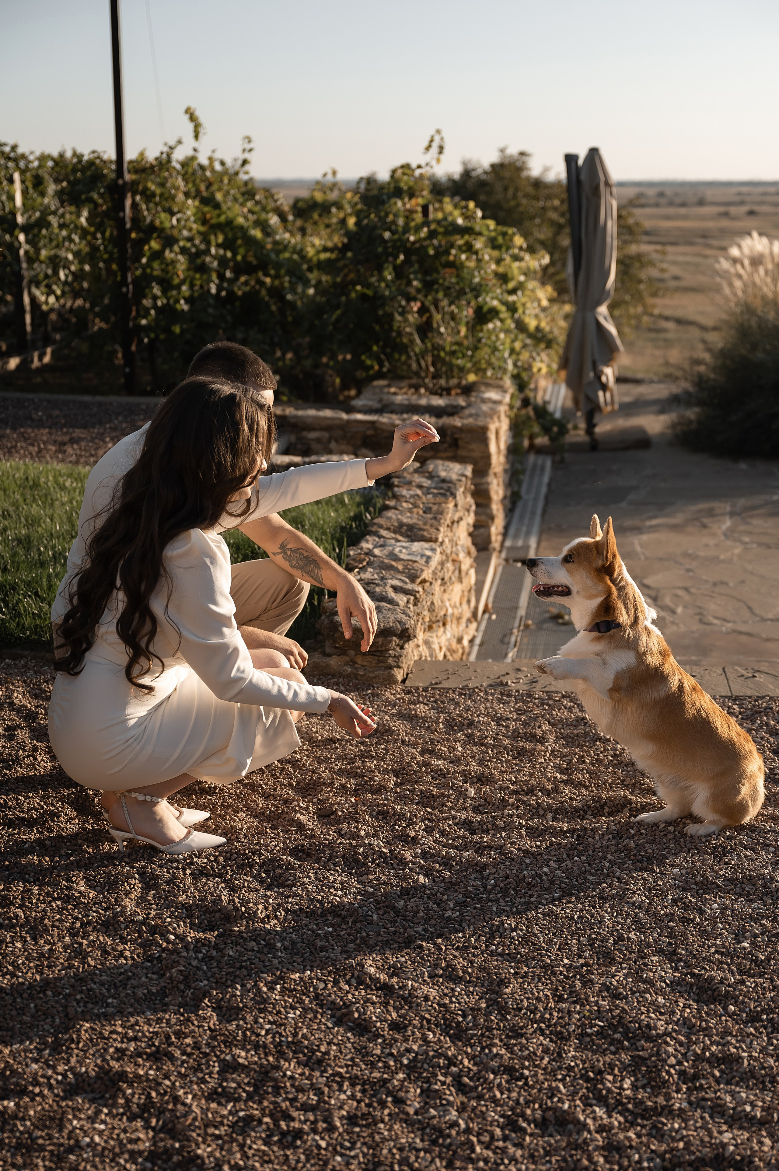 Саша и Лера. Свадебный фотограф и видеограф