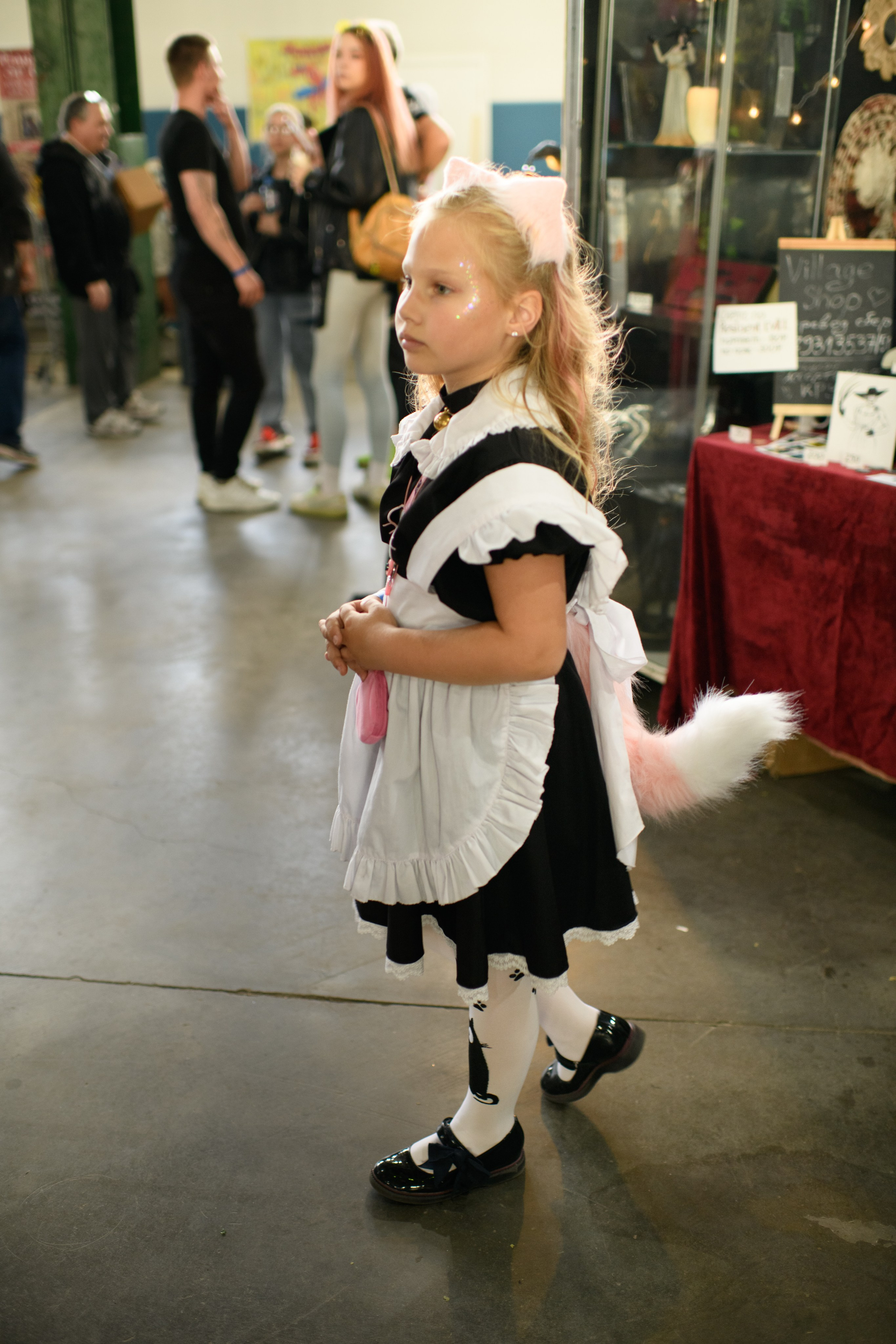 Фестиваль косплееров «Старкон». Организация и проведение фотосъемок в Санкт-Петербурге. Фотограф Смирягин Илья