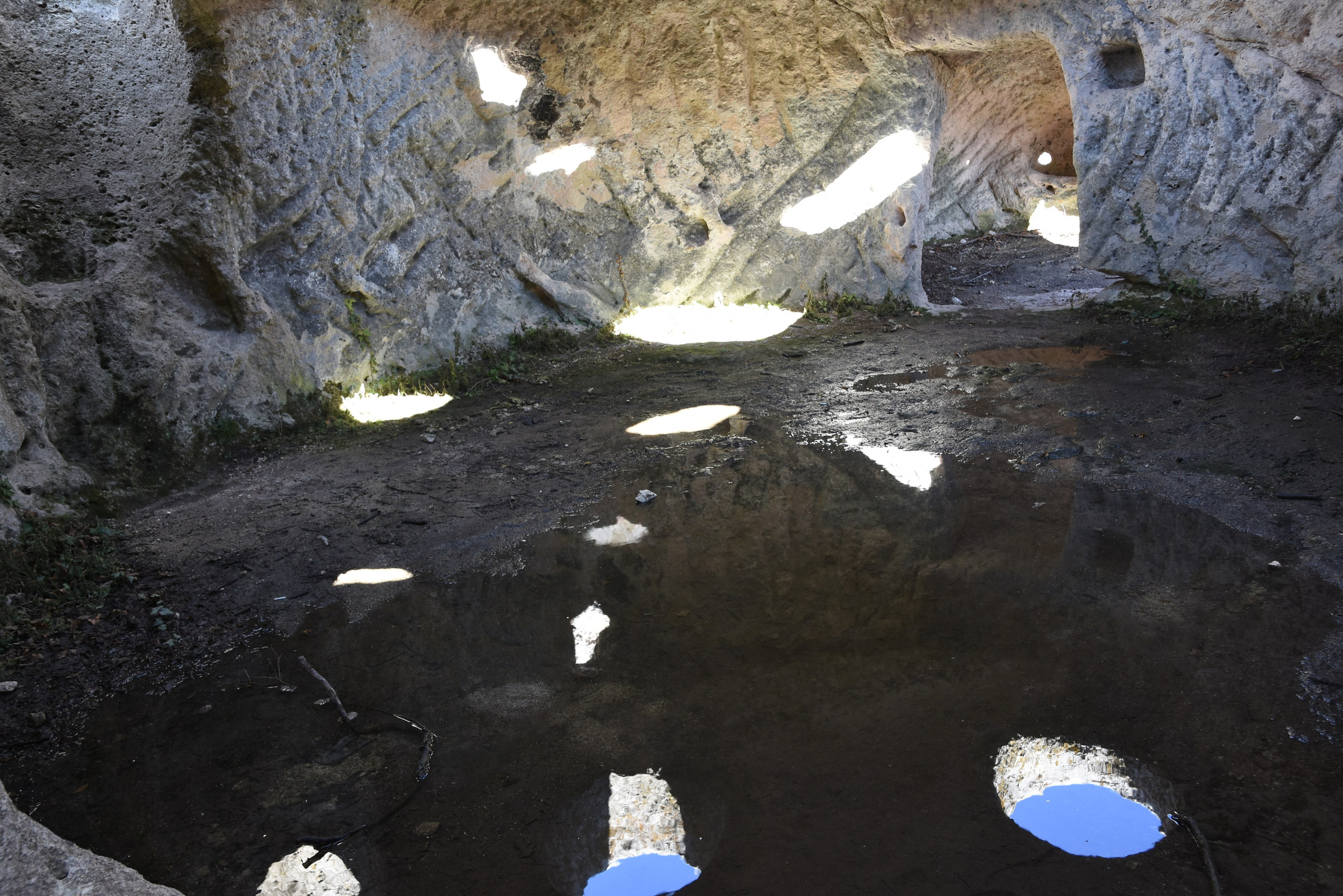 И это все о нем. Созерцатель. фотографирую что тронуло и впечатлило. самарская область