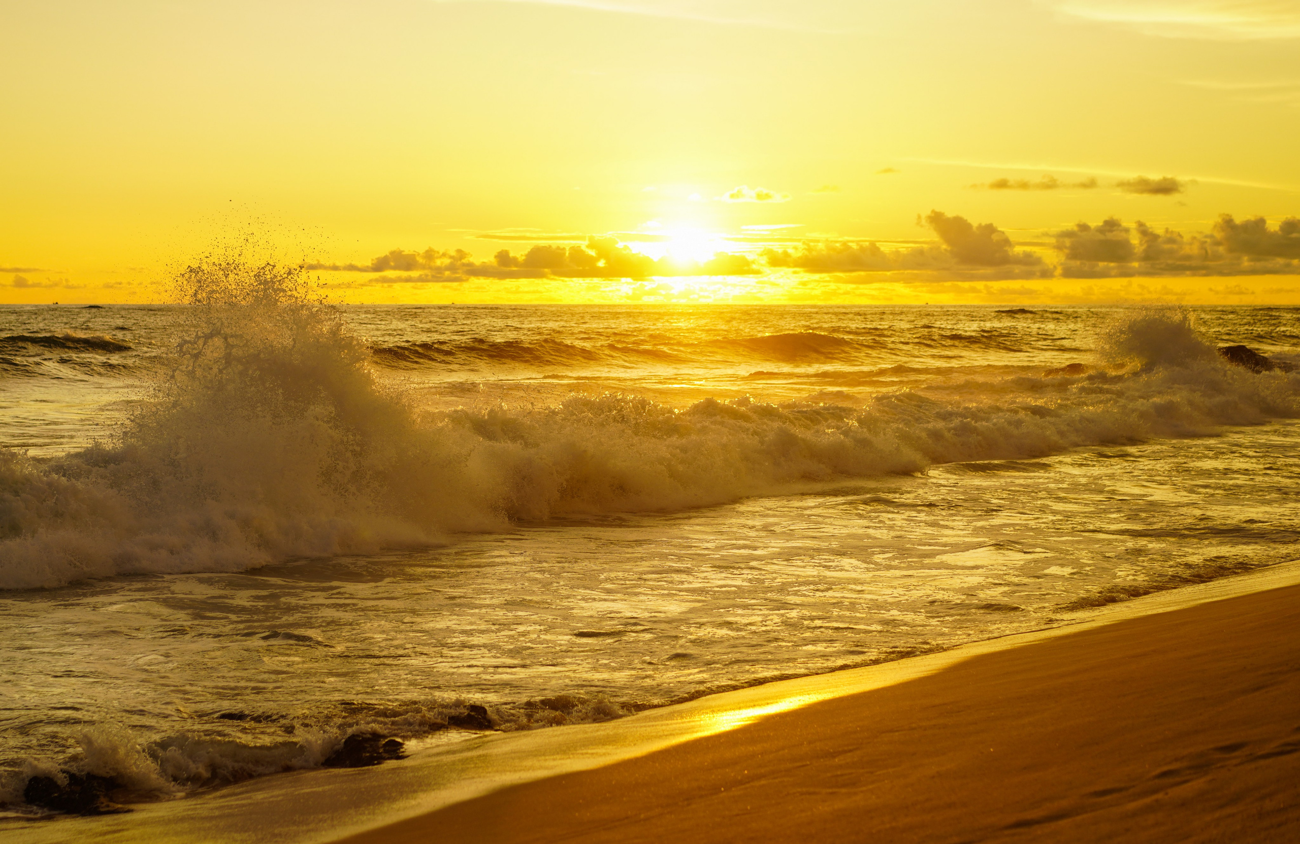 Остров Шри-Ланка. Фотограф Сергей Кишкель Дананг Нячанг Фукуок