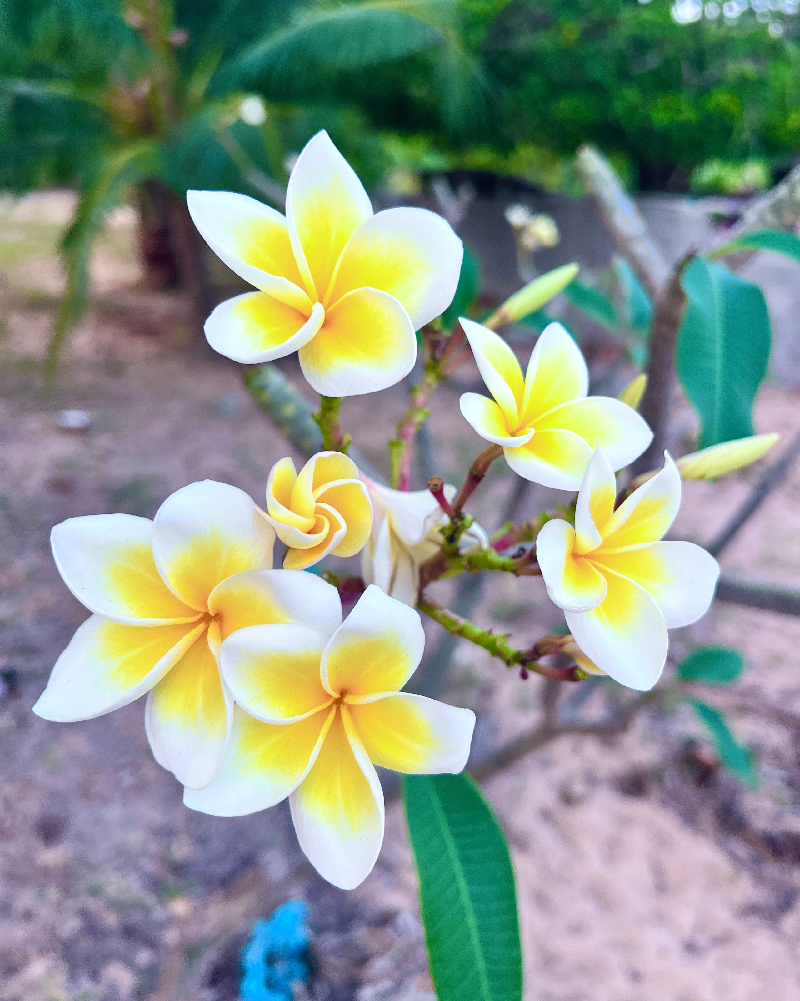 Фотограф Владимир Карташов | Фотосессия в Муйне, Фантьете, Вьетнаме