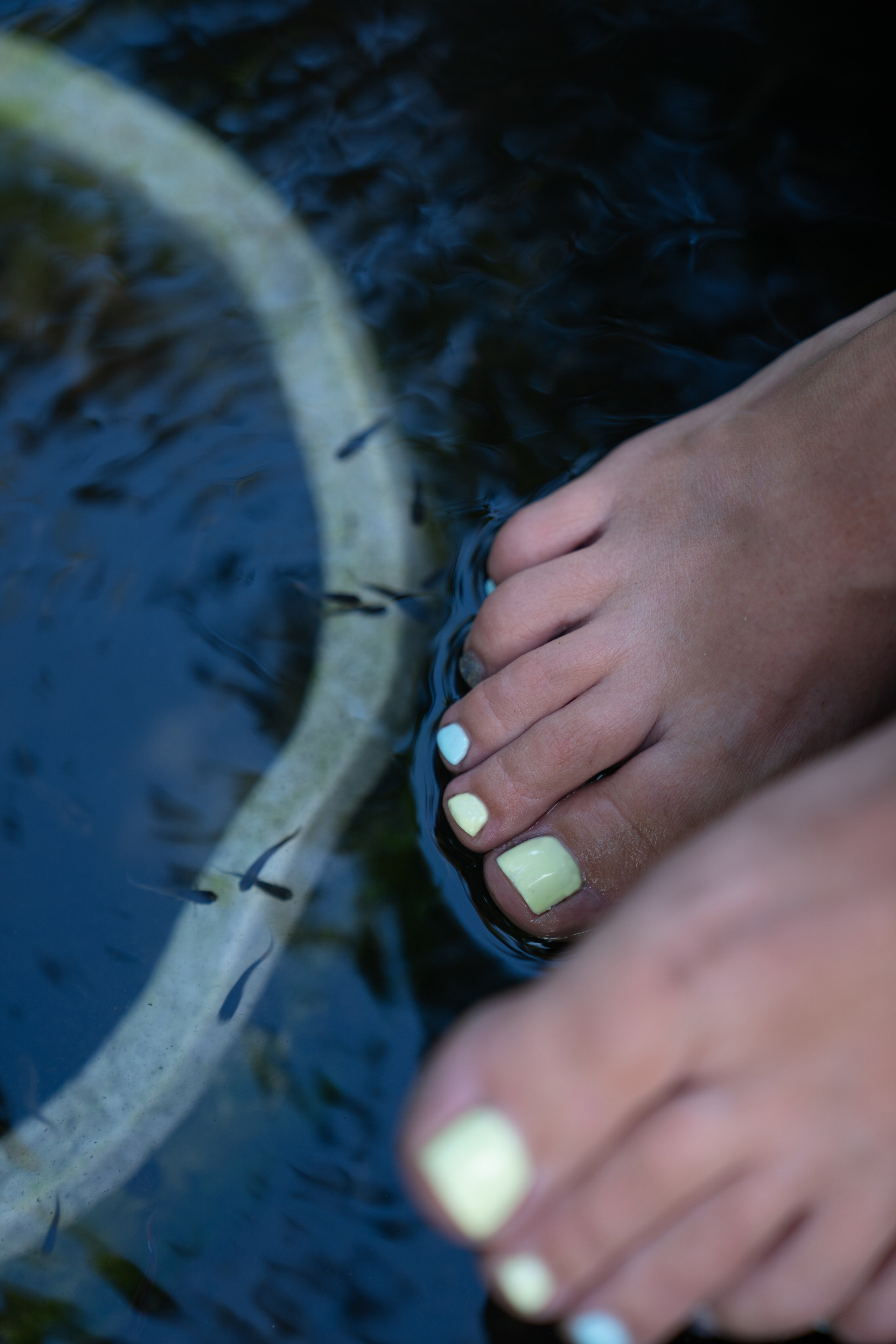 Фотосессия Людмилы в Муйне | Женственные фото в красивых местах. Фотограф в Муйне и Фанхьете — Фотосессии для туристов, пар и семей