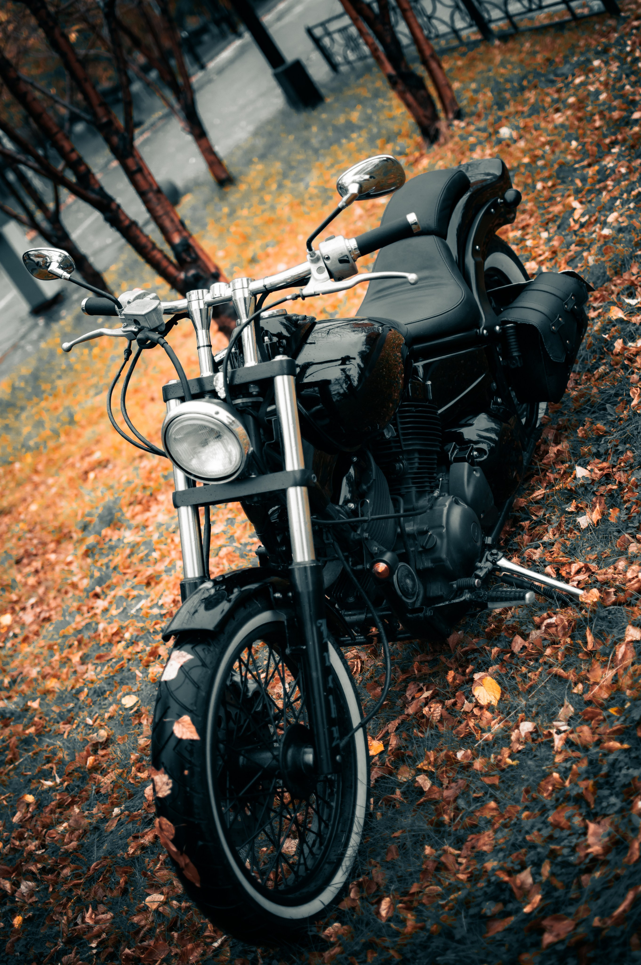 Последние дни осени. G G L V D M T R | Фотограф в Красноярске