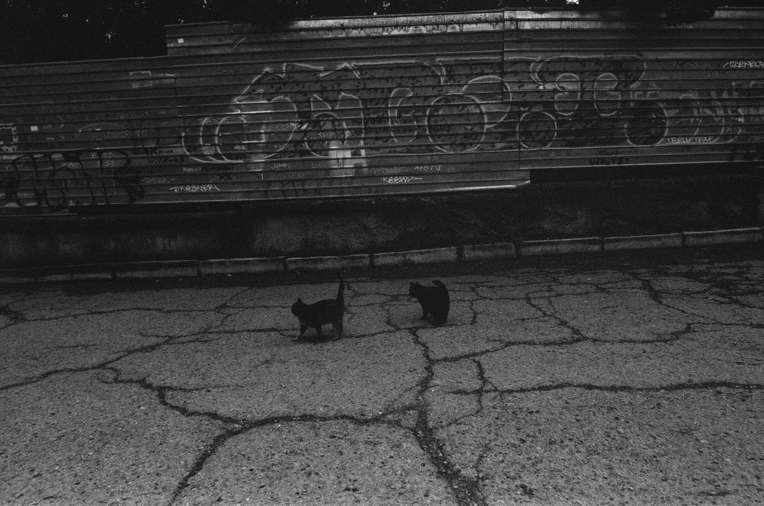 Oblomki chuvstv // ukraine, crimea II. EVER EXPOSED