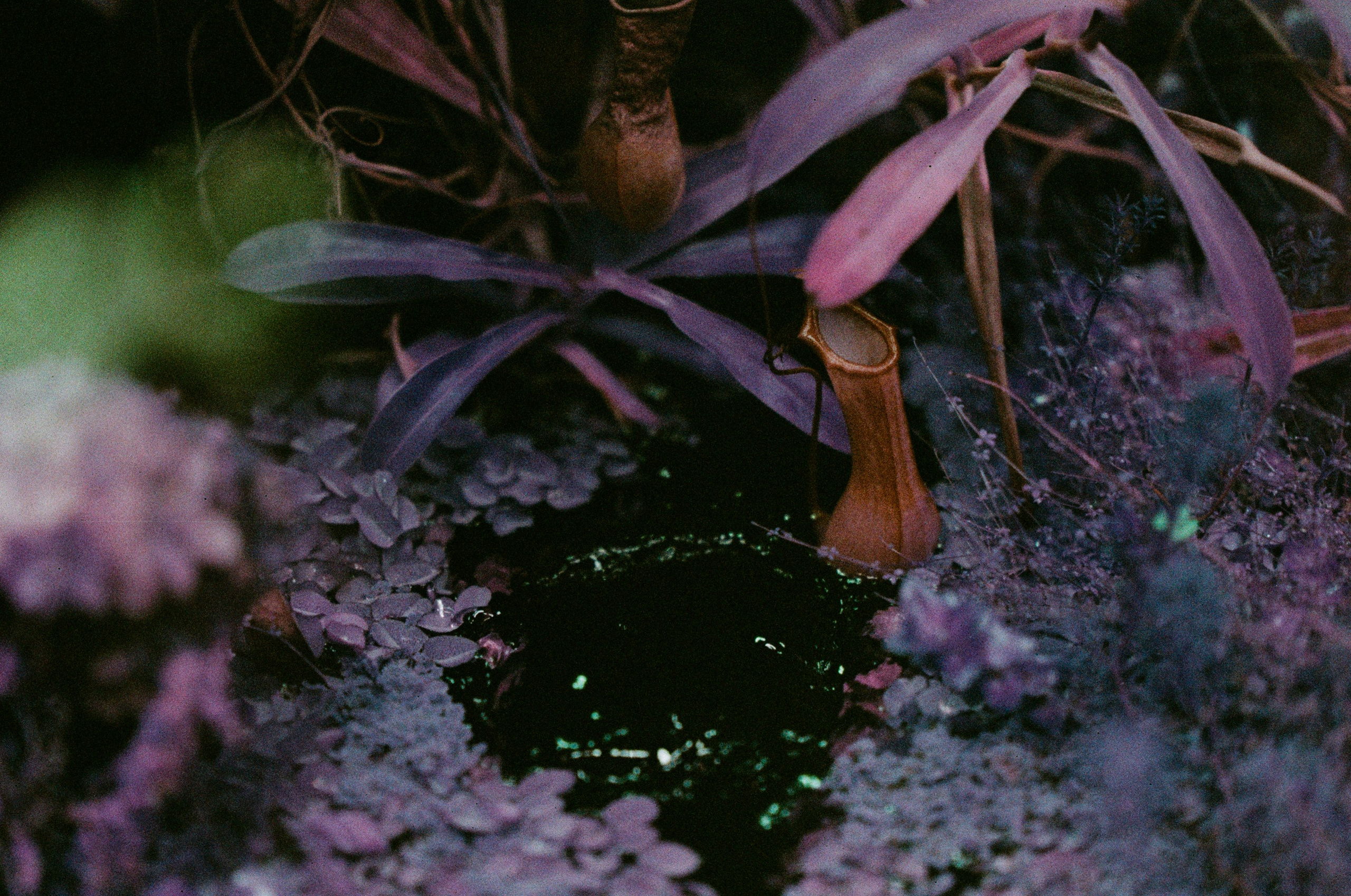 If i get high. EVER EXPOSED