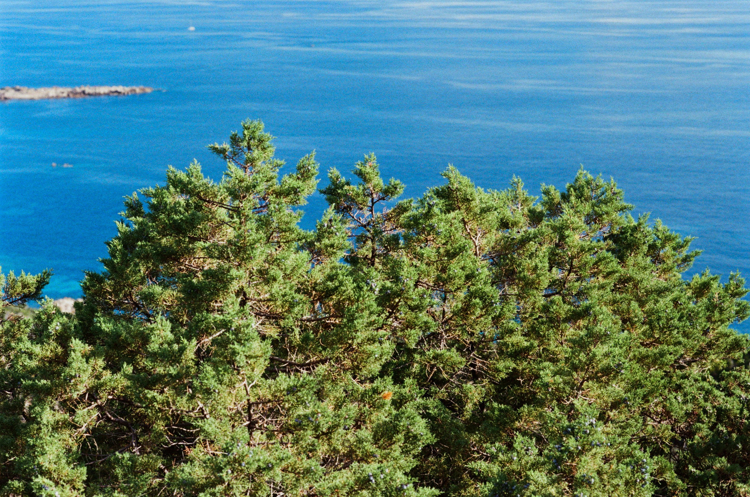 Silence is also an answer // corsica II. EVER EXPOSED