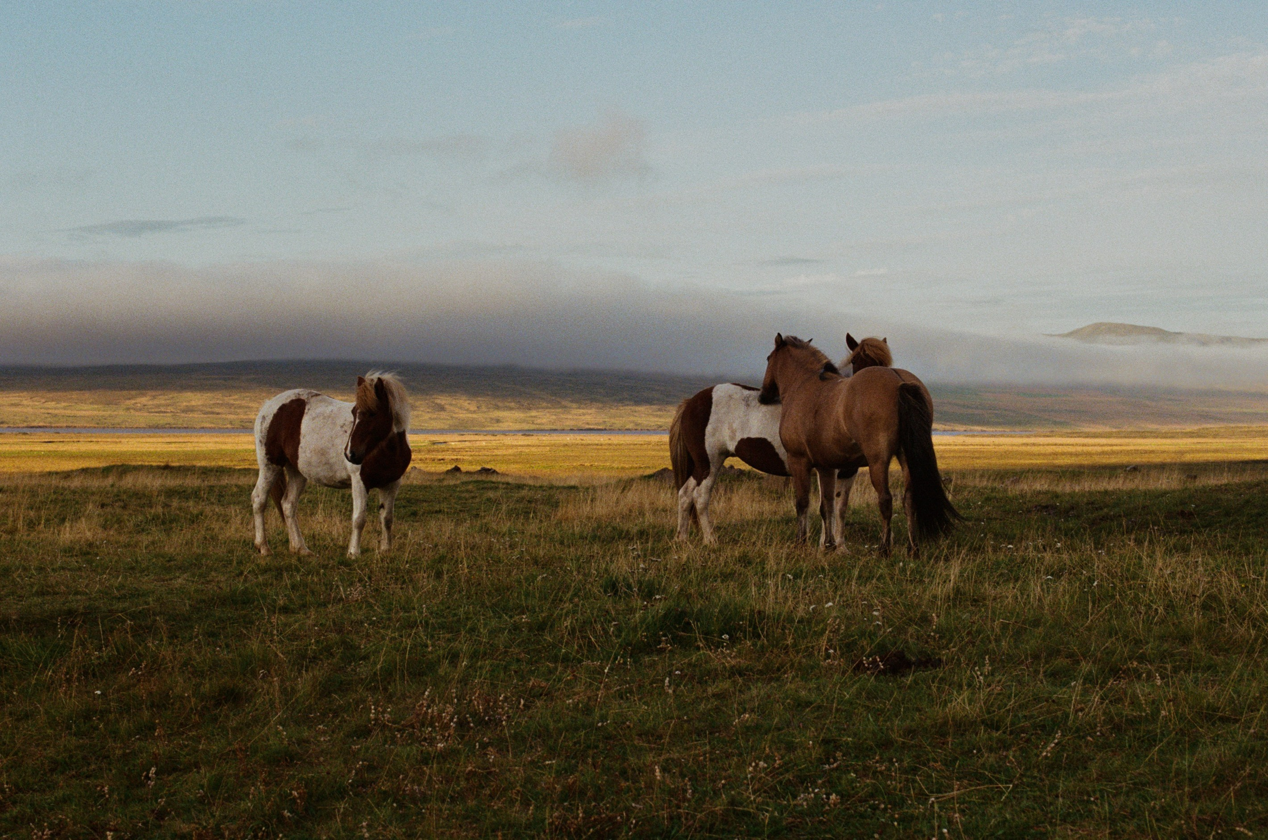Unravelling // iceland, 724 II. EVER EXPOSED